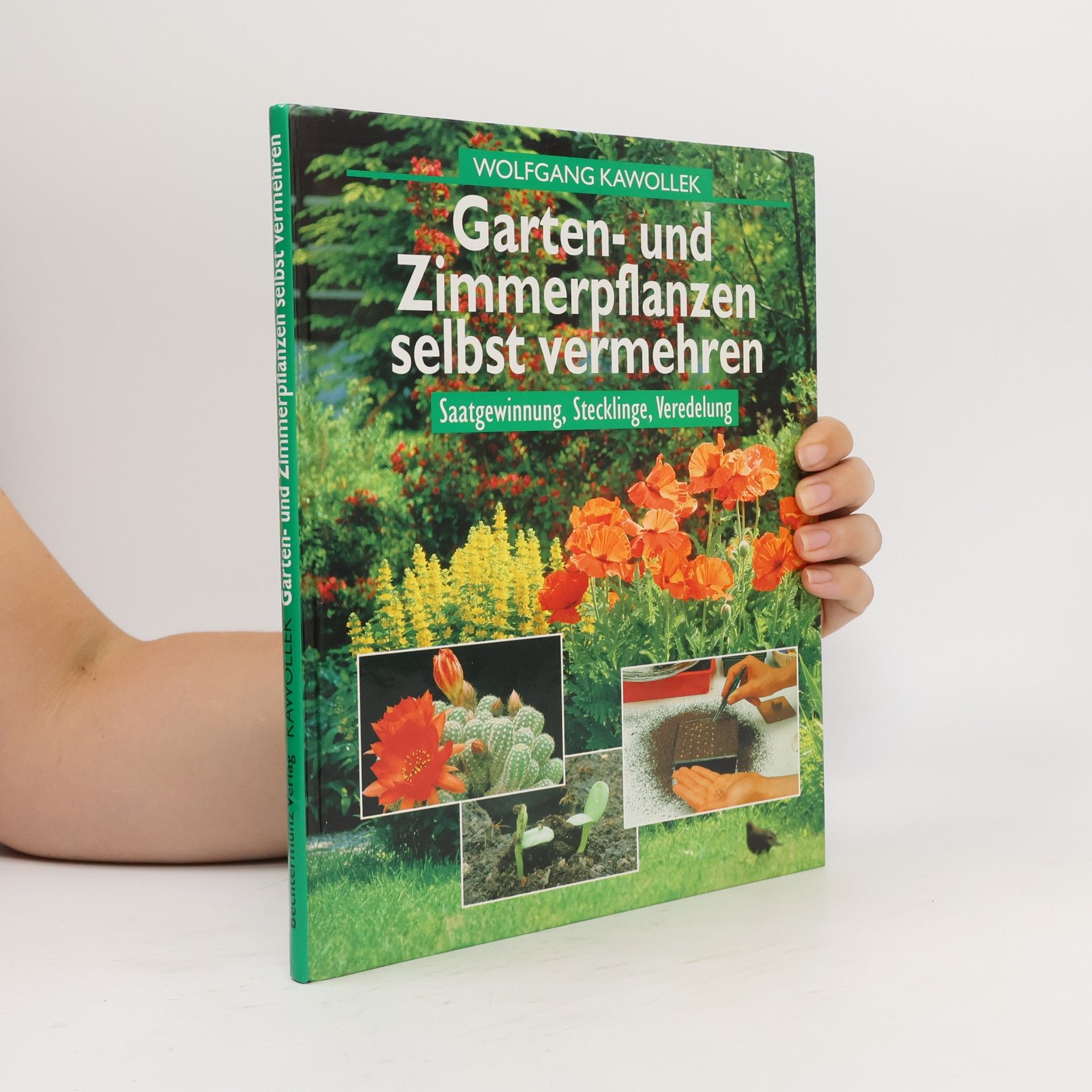 Gartenteich und Bachlauf
