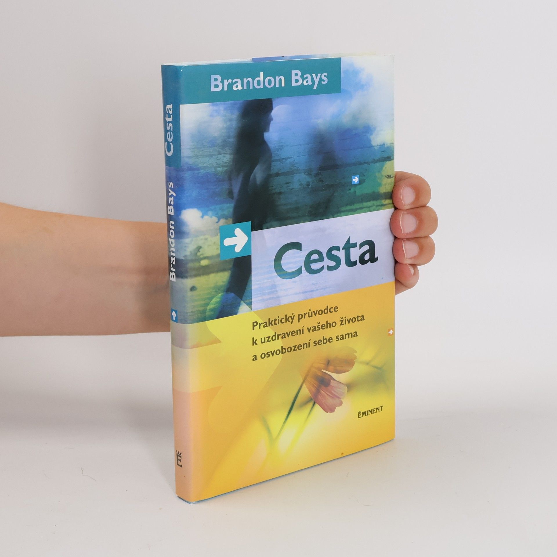 Brandon Bays Cesta