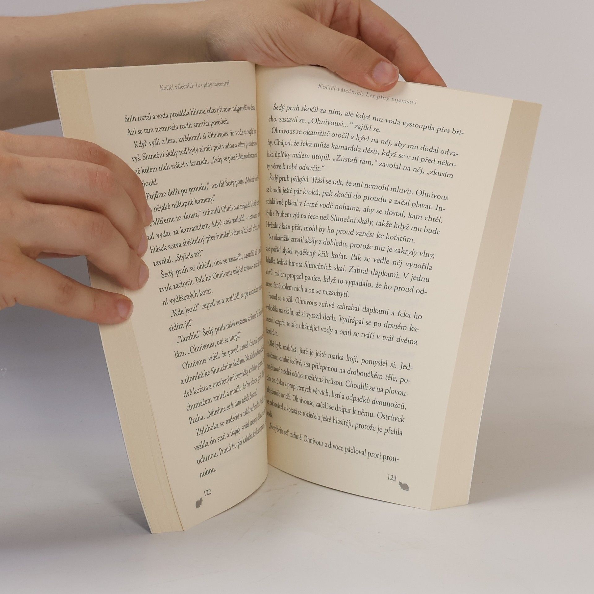 Erin Hunter Les plný tajemství. Kočičí válečníci
