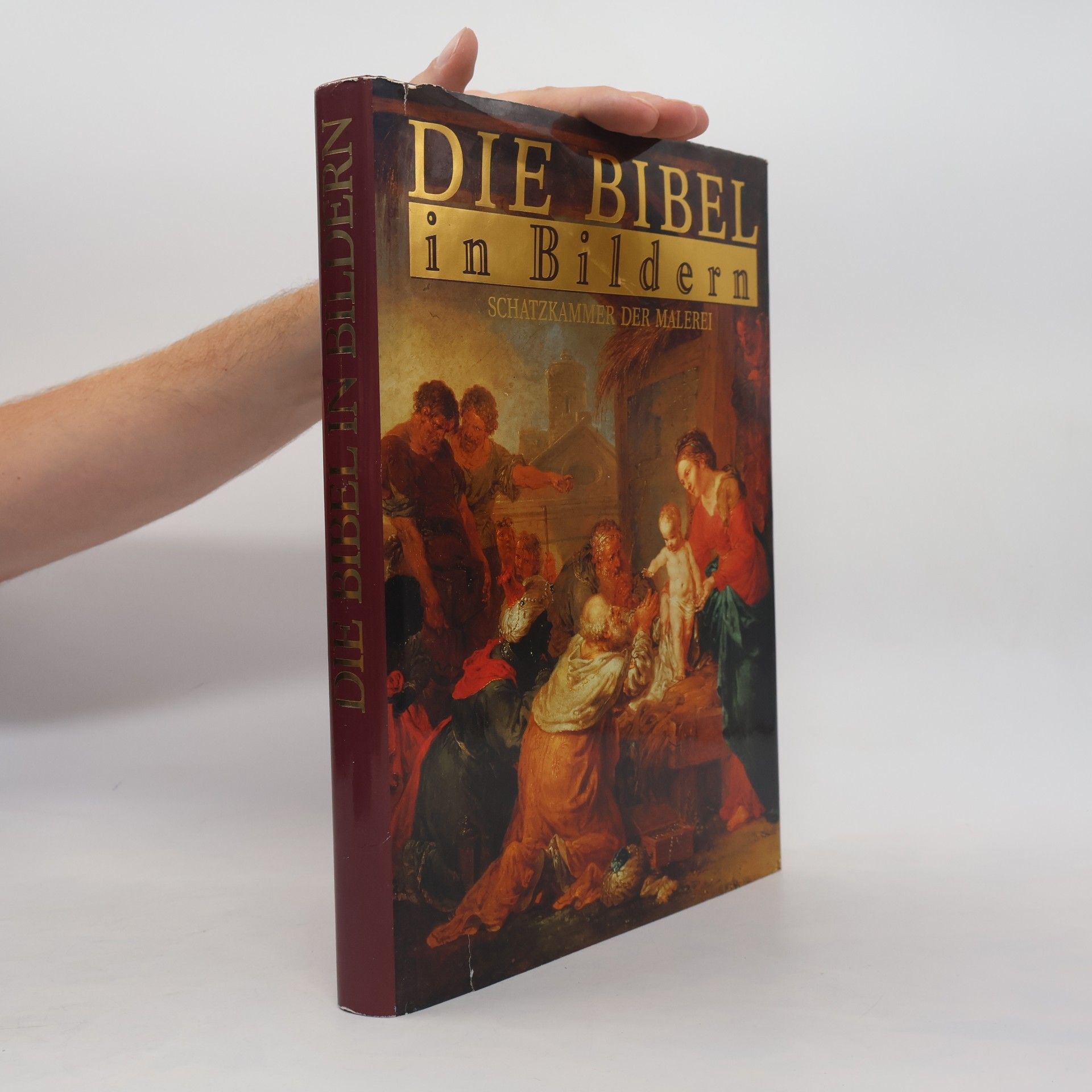 Autores varios Die Bibel in Bildern. Schatzkammer der Malerei