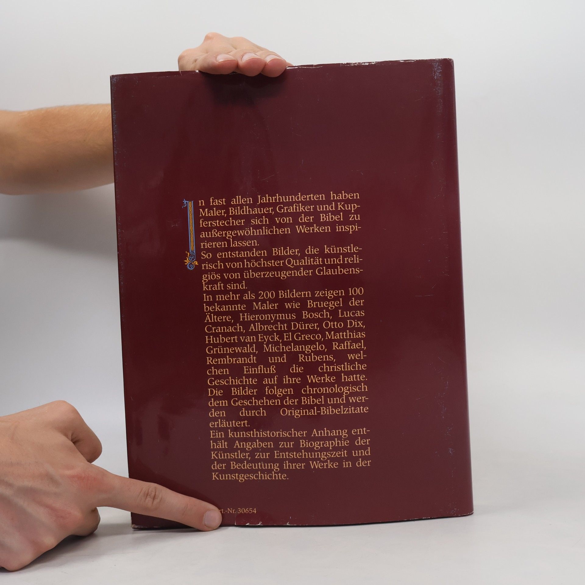 Autores varios Die Bibel in Bildern. Schatzkammer der Malerei