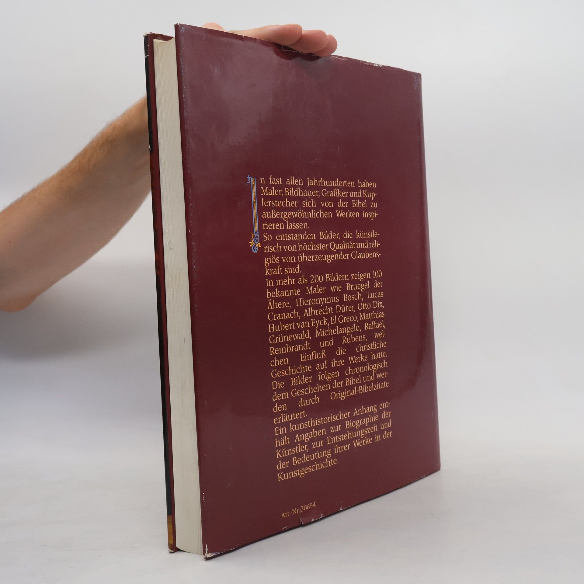 Autores varios Die Bibel in Bildern. Schatzkammer der Malerei