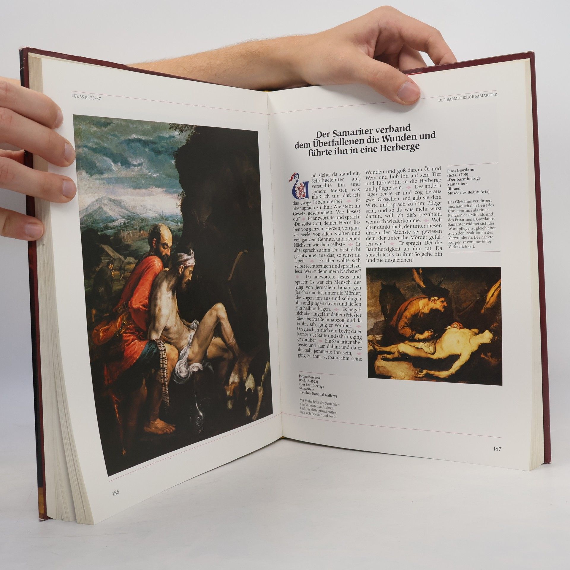 Autores varios Die Bibel in Bildern. Schatzkammer der Malerei