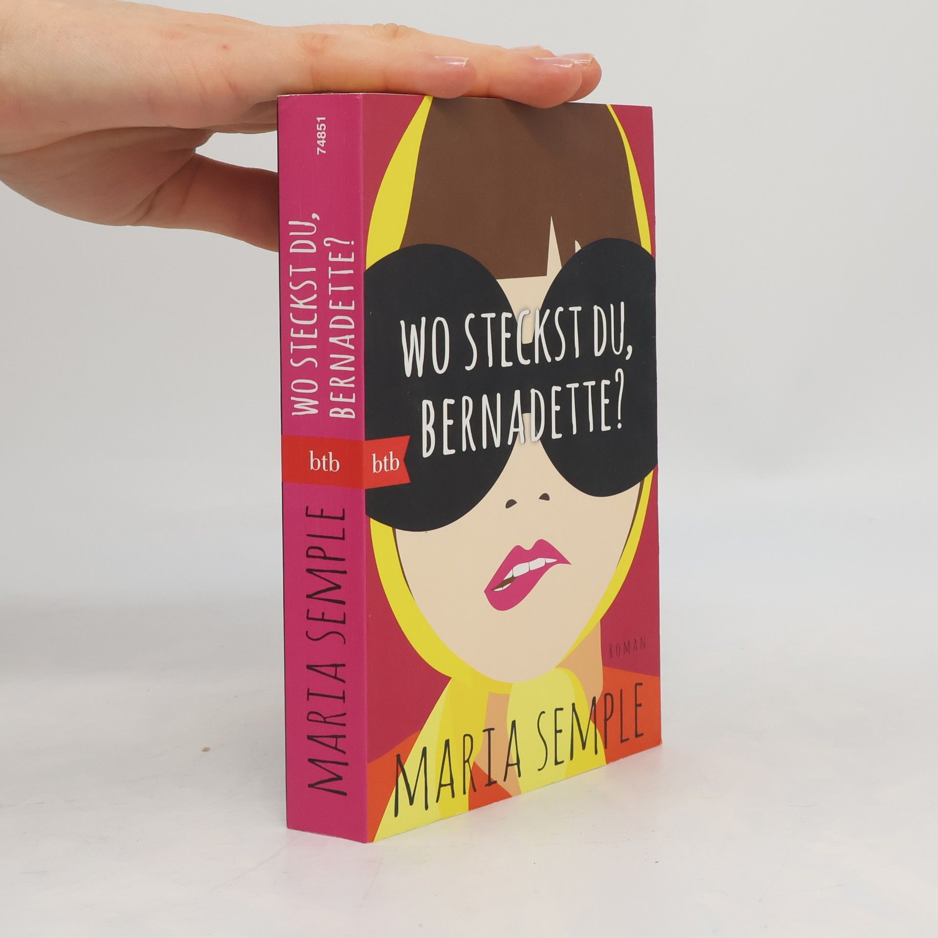 Maria Semple Wo steckst du, Bernadette?