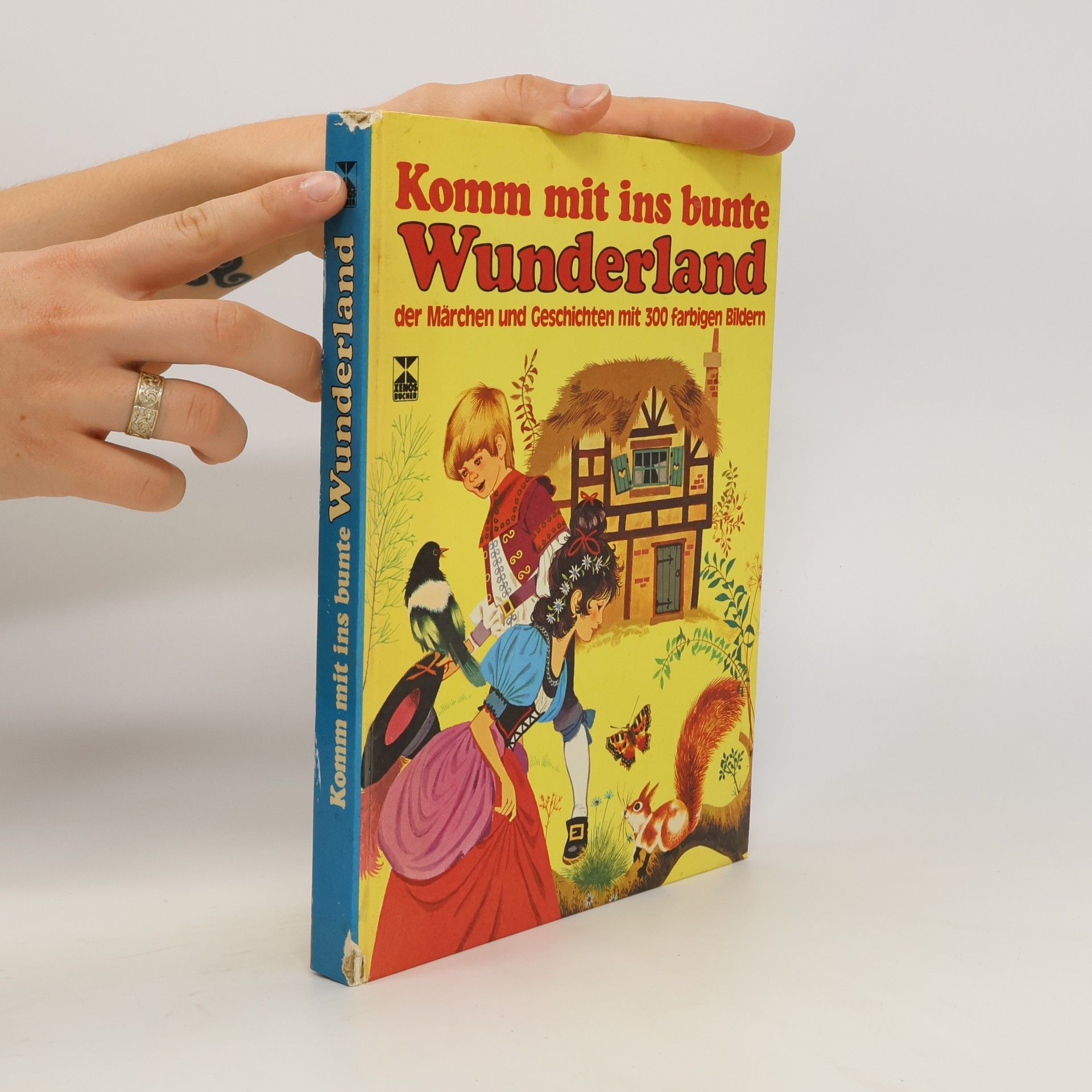 Harald Tondern Komm mit ins bunte Wunderland