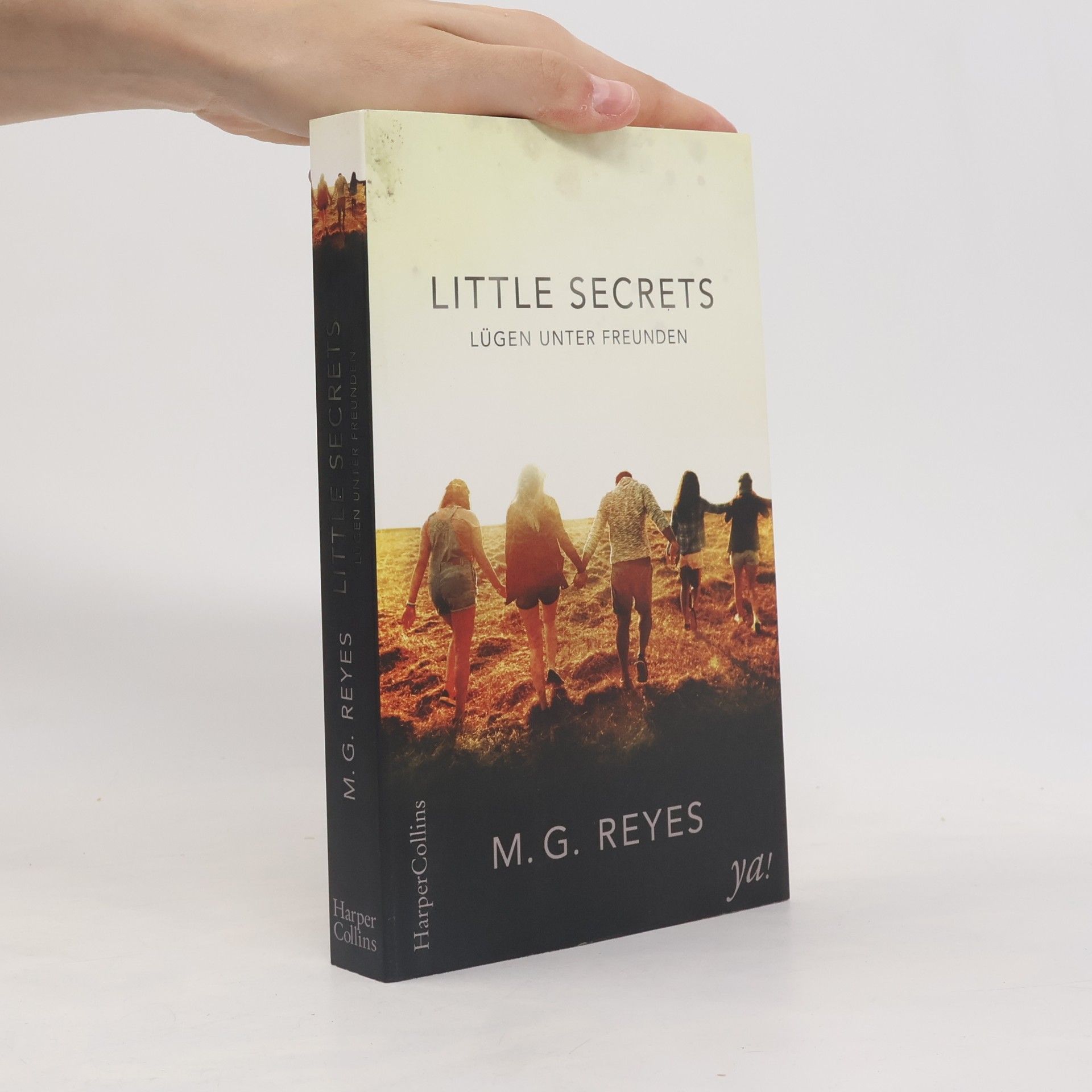 M. G. Reyes Little secrets - Lügen unter Freunden
