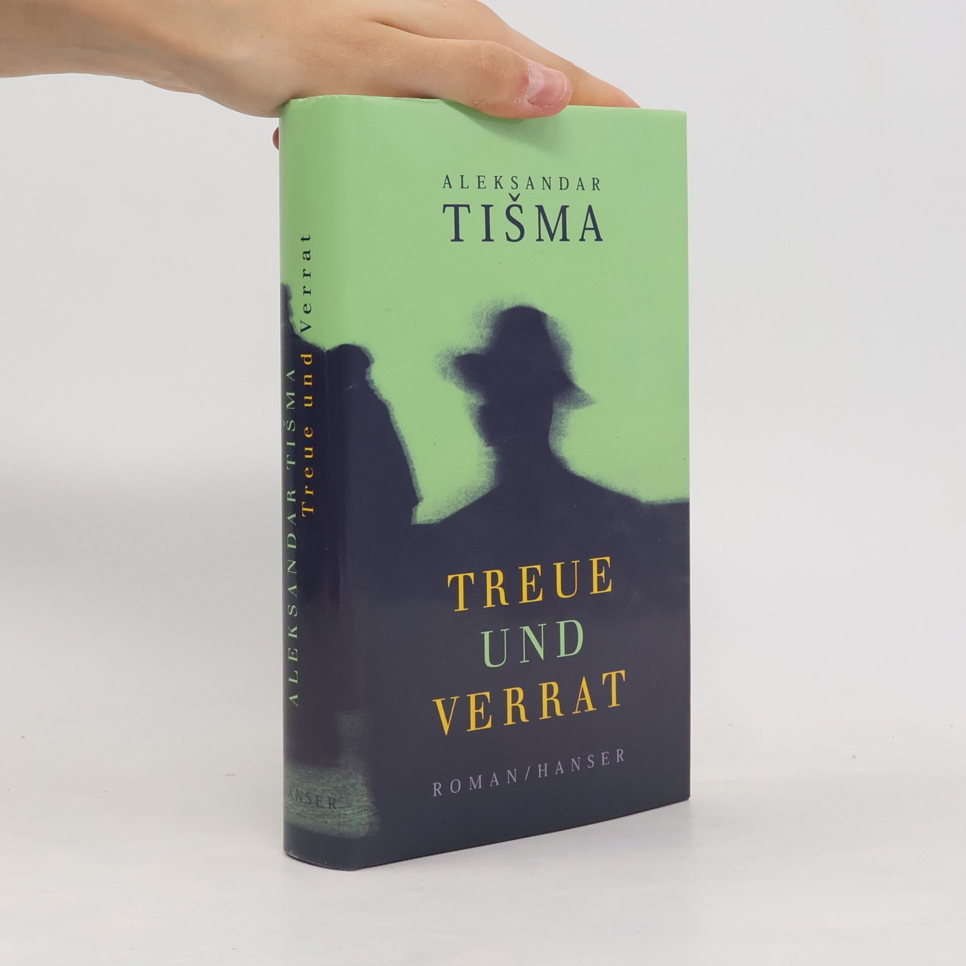 Aleksandar Tišma Treue und Verrat