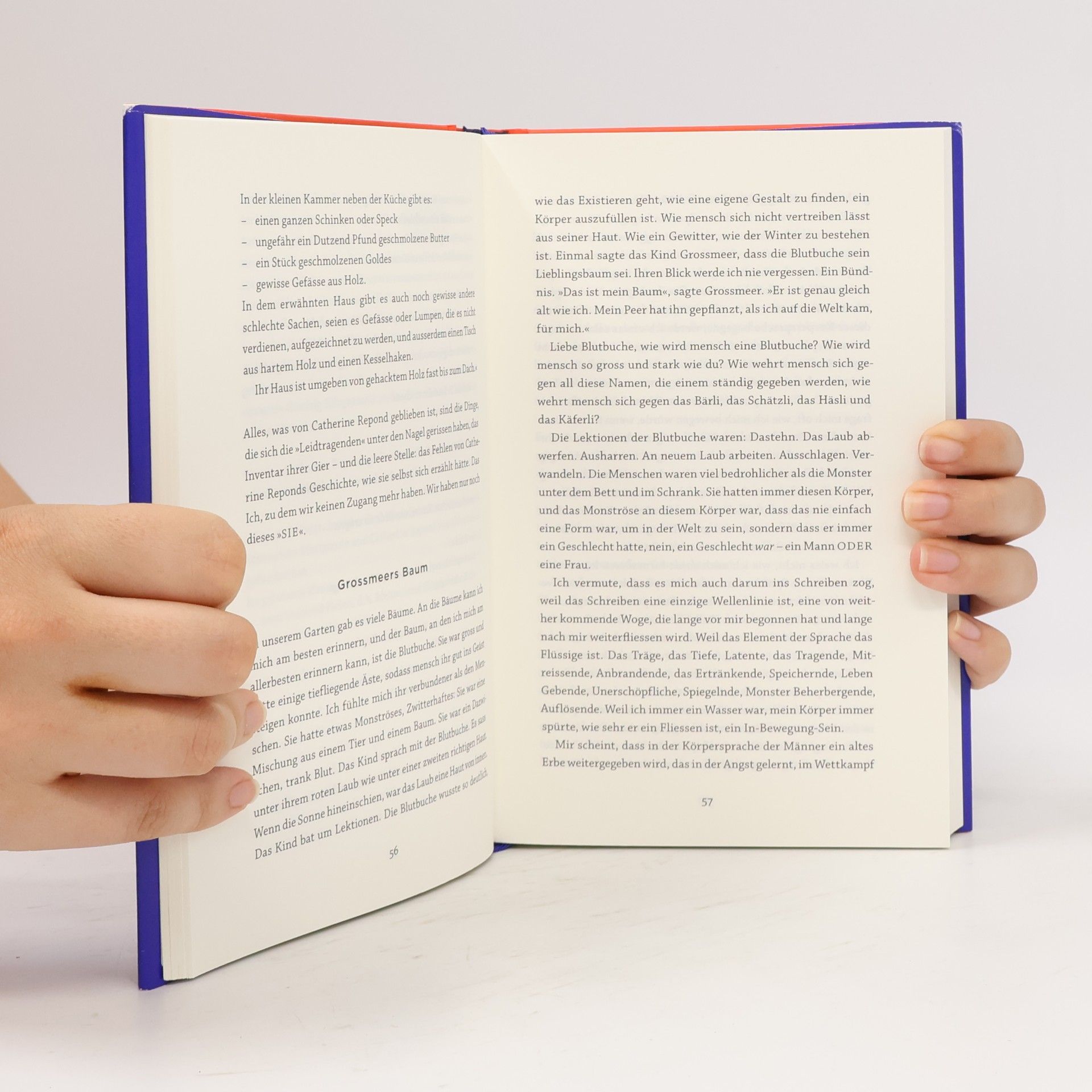 Kim de l. Horizon Blutbuch