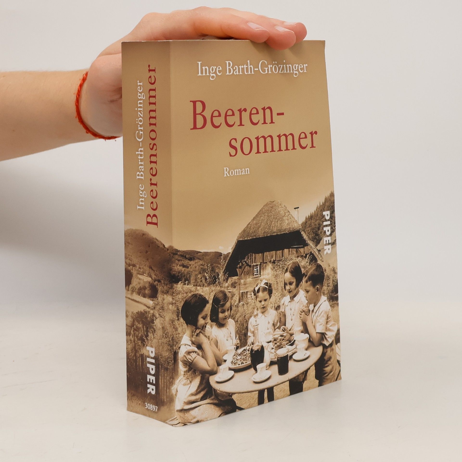 Inge Barth-Grözinger Beerensommer