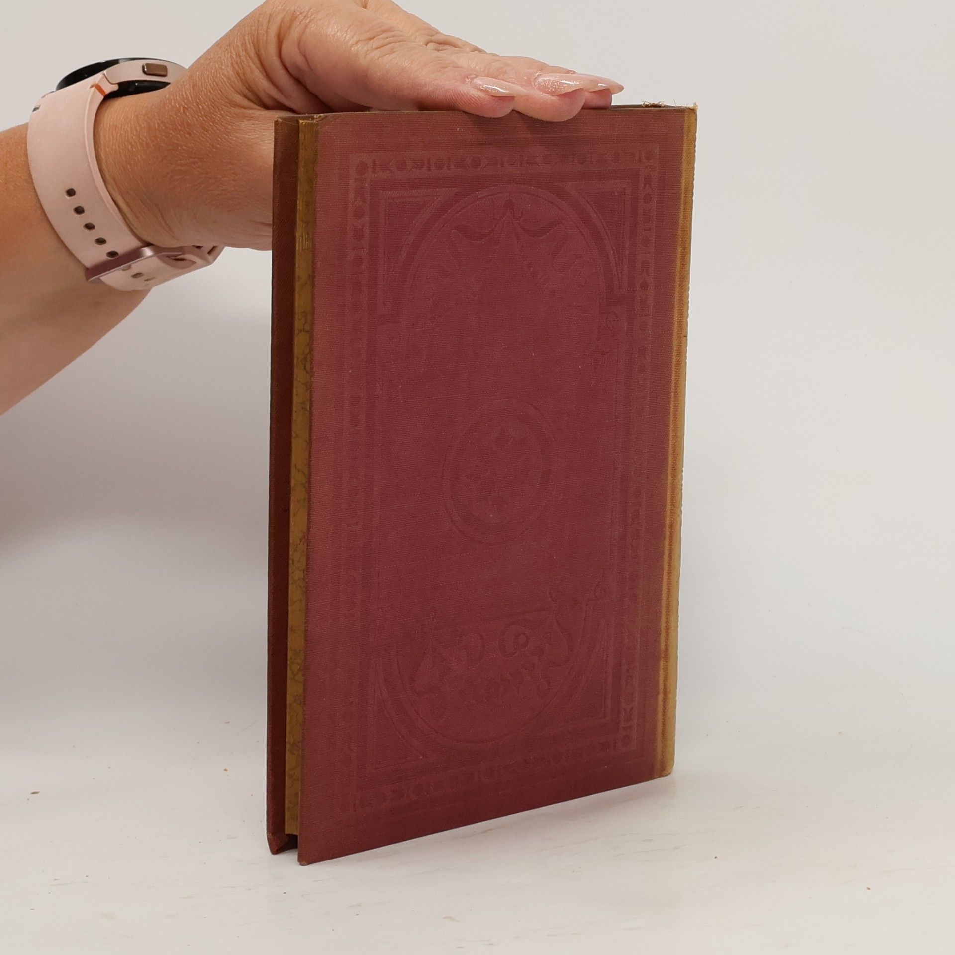 Johann Wolfgang von Goethe Goethes Sämtliche Werke. Band 13