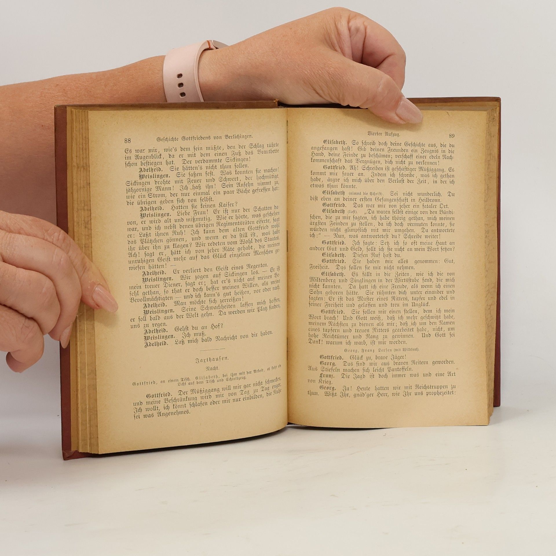 Johann Wolfgang von Goethe Goethes Sämtliche Werke. Band 13