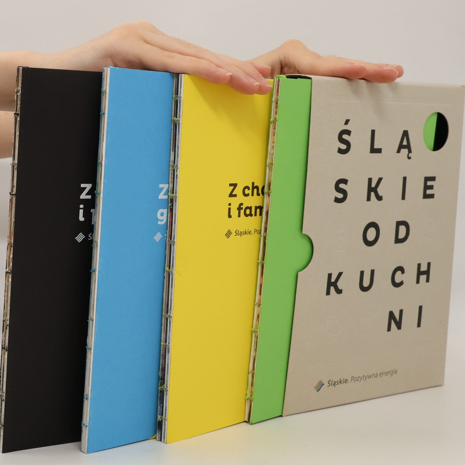 Kolektiv autorů Śląskie od Kuchni
