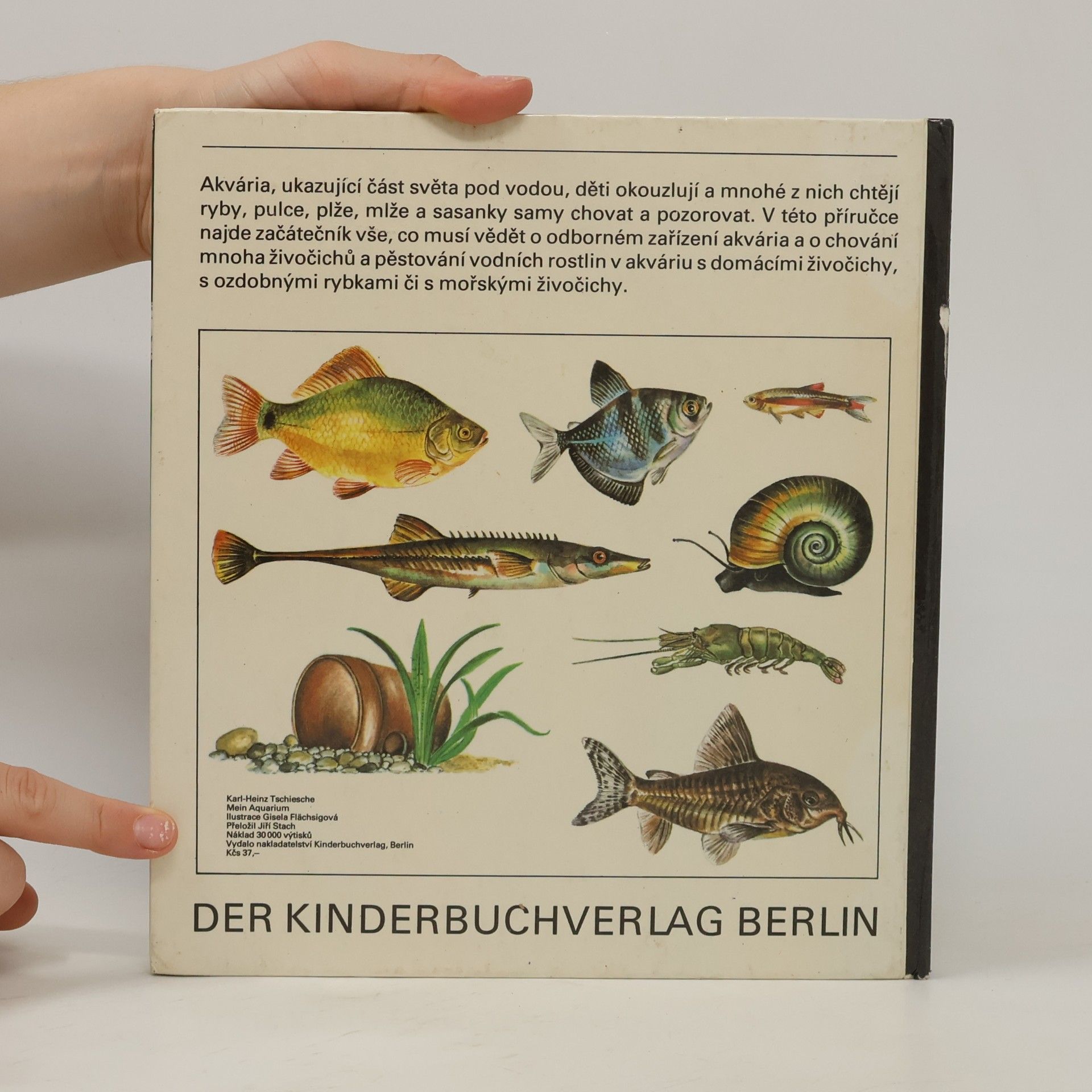 KarlHeinz Tschiesche Moje akvárium