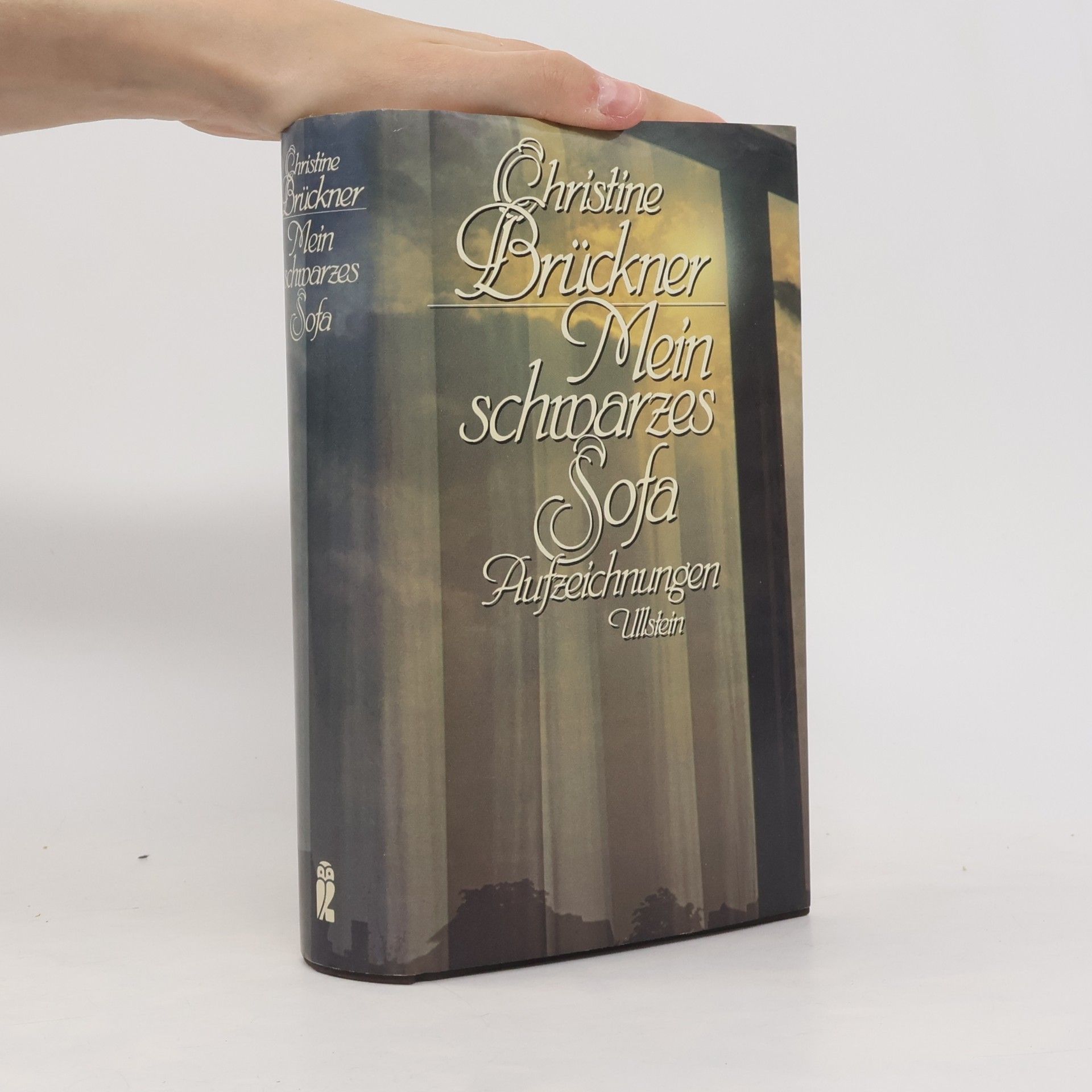 Christine Brückner Mein schwarzes Sofa