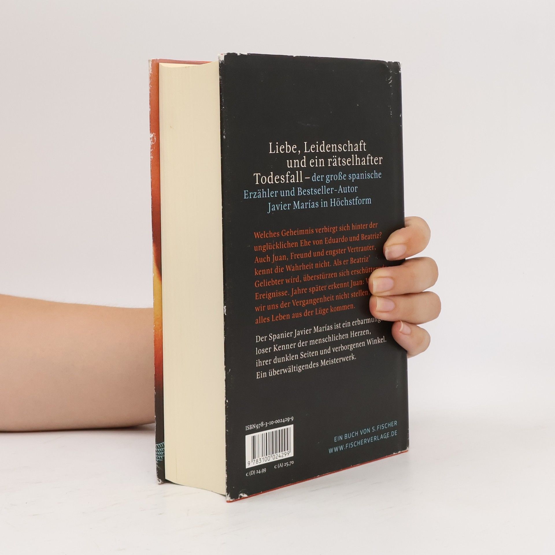 Javier Marías So fängt das Schlimme an