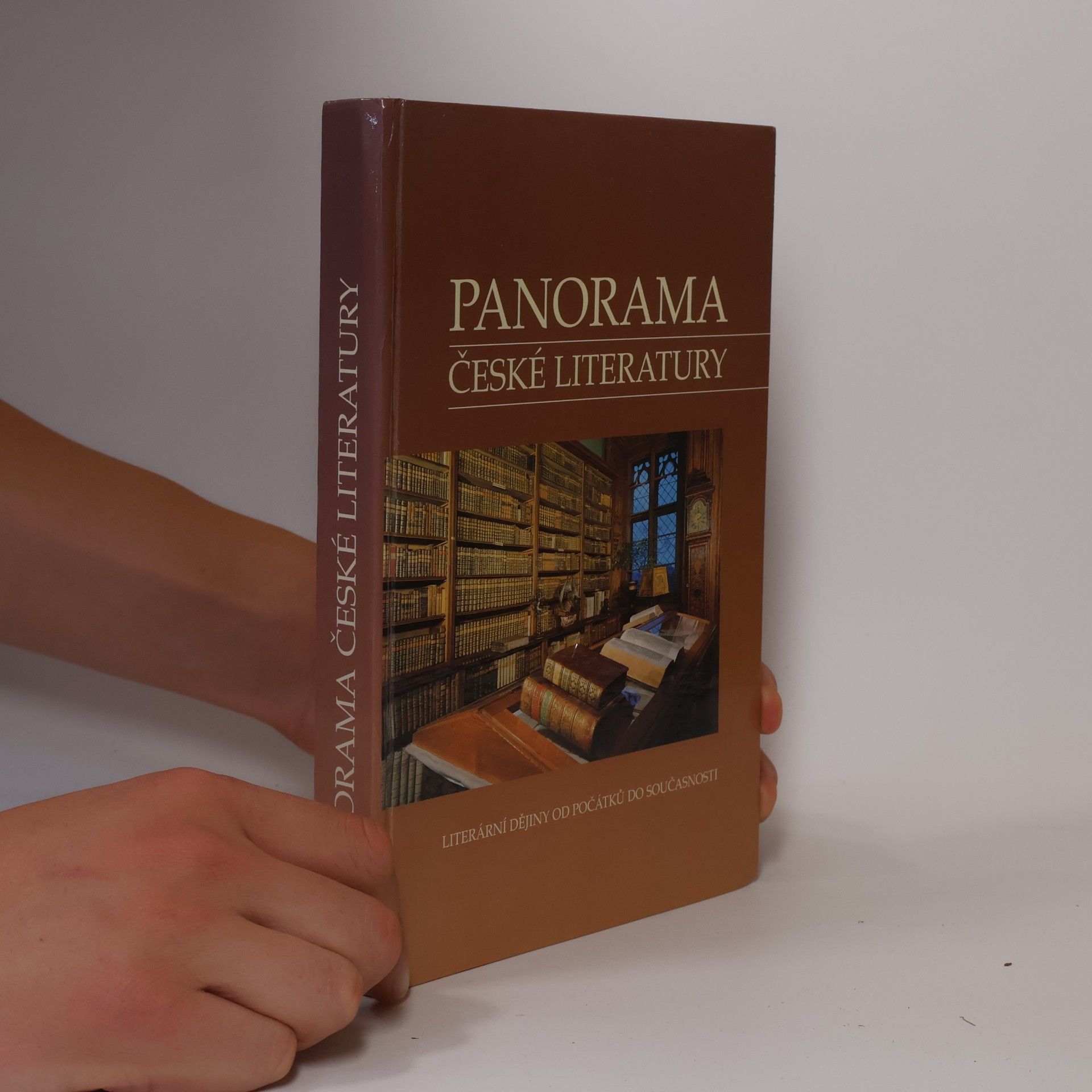 Josef Galík Panorama české literatury. Literární dějiny od počátků do současnosti