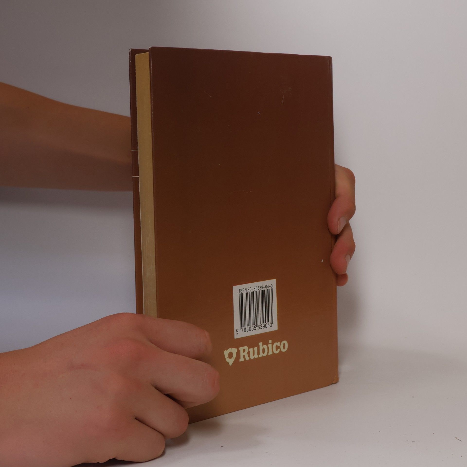 Kolektiv autorů Panorama české literatury. Literární dějiny od počátků do současnosti