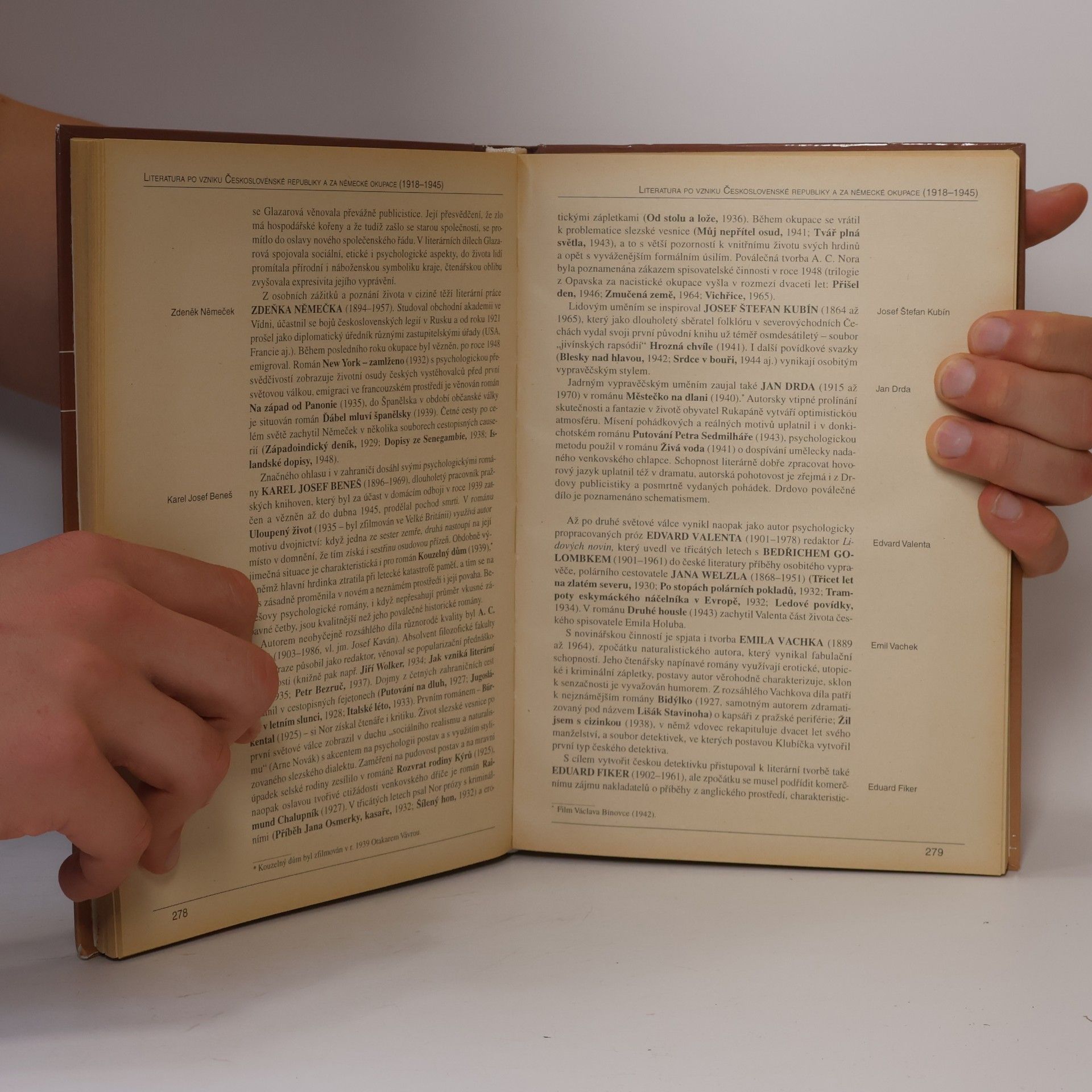 Kolektiv autorů Panorama české literatury. Literární dějiny od počátků do současnosti