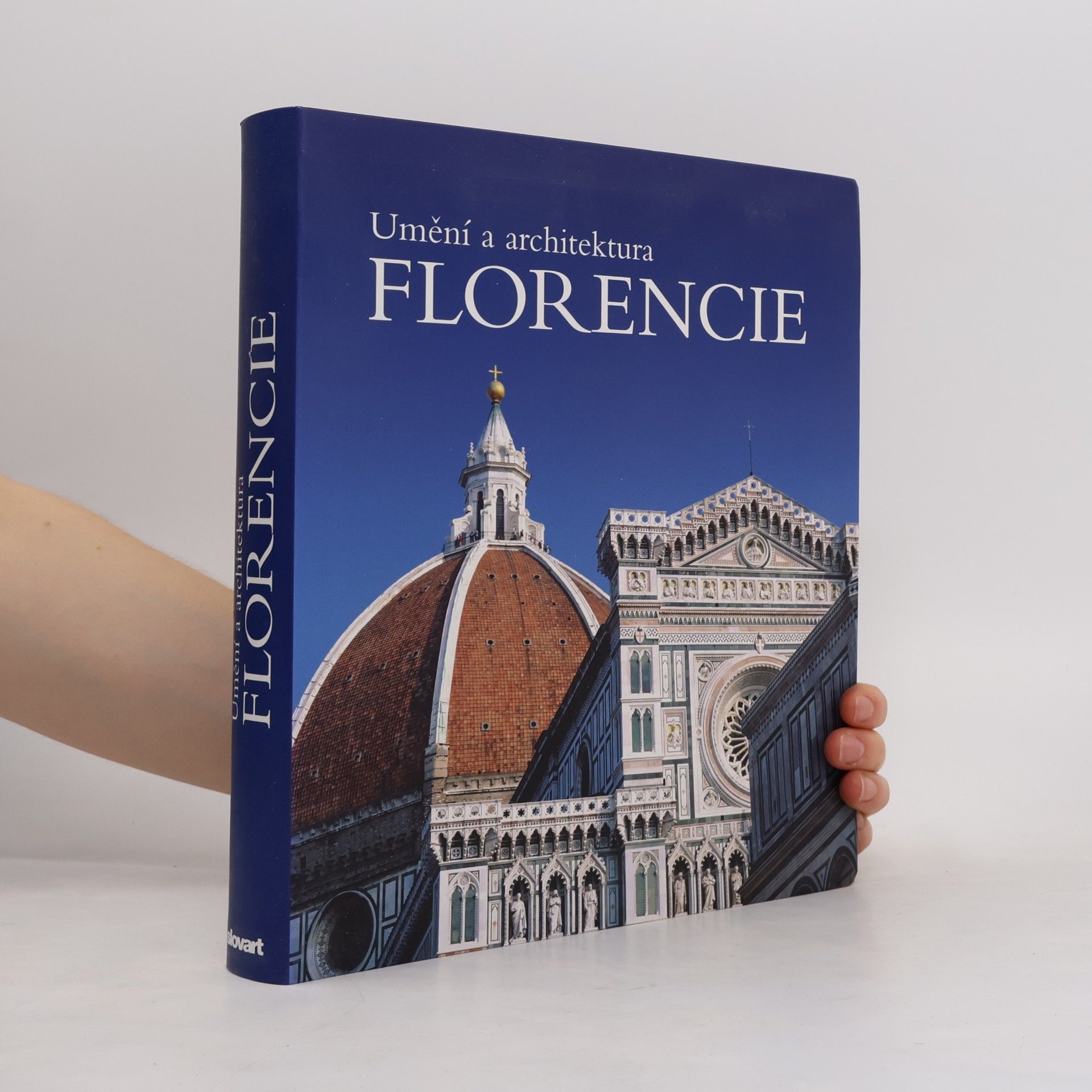 Silvestra Bietoletti Florencie : umění a architektura