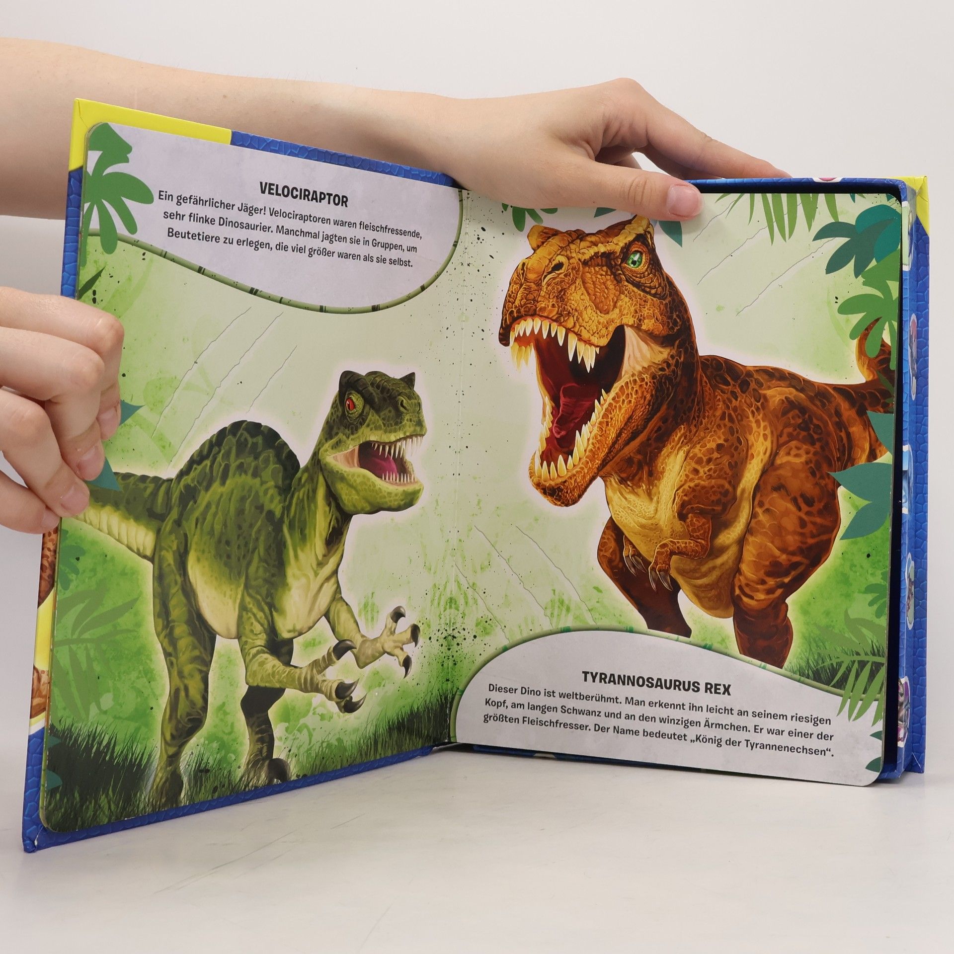 Phidal Publishing Inc. Dinosaurier mein Bilder- und Spielebuch