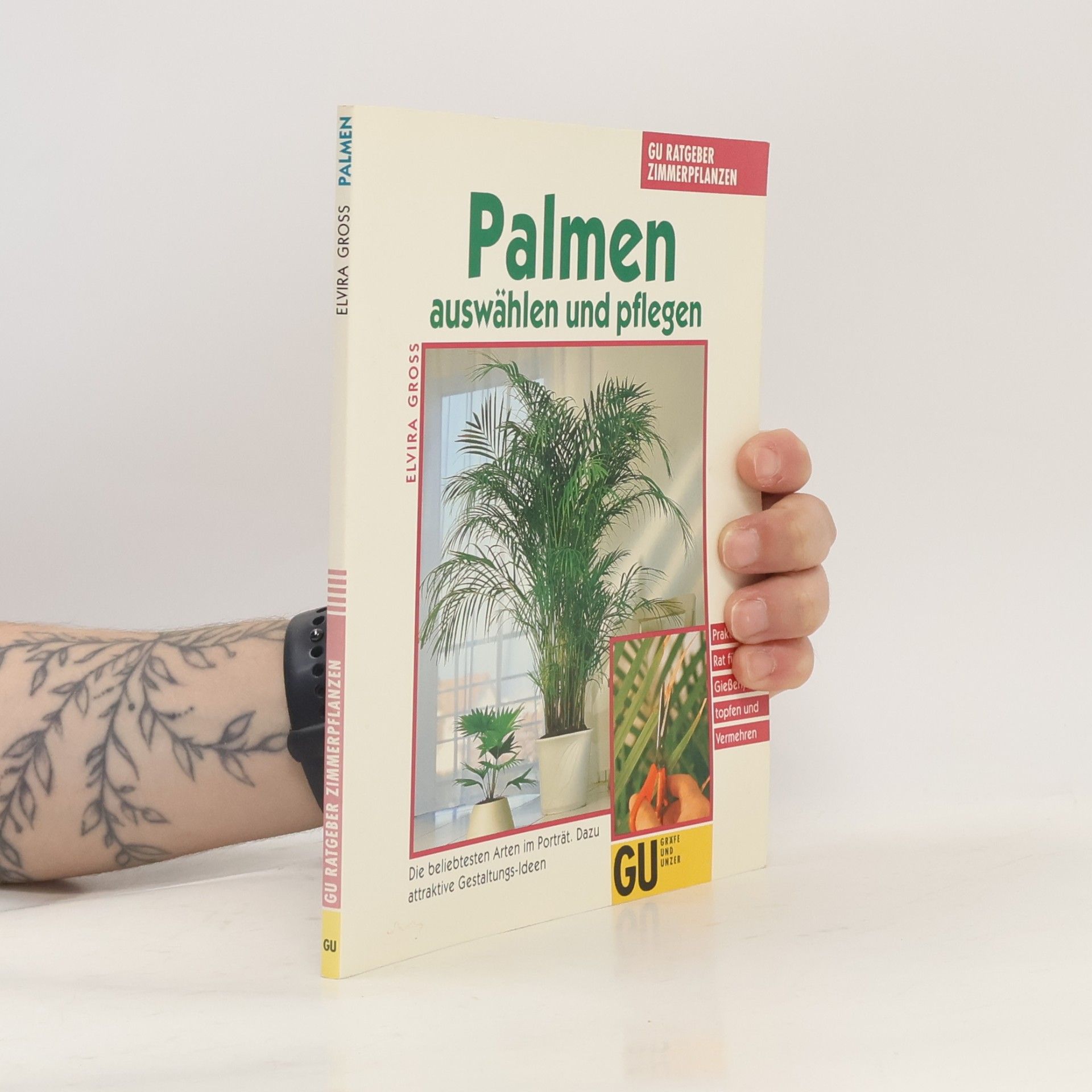 Palmen auswählen und pflegen