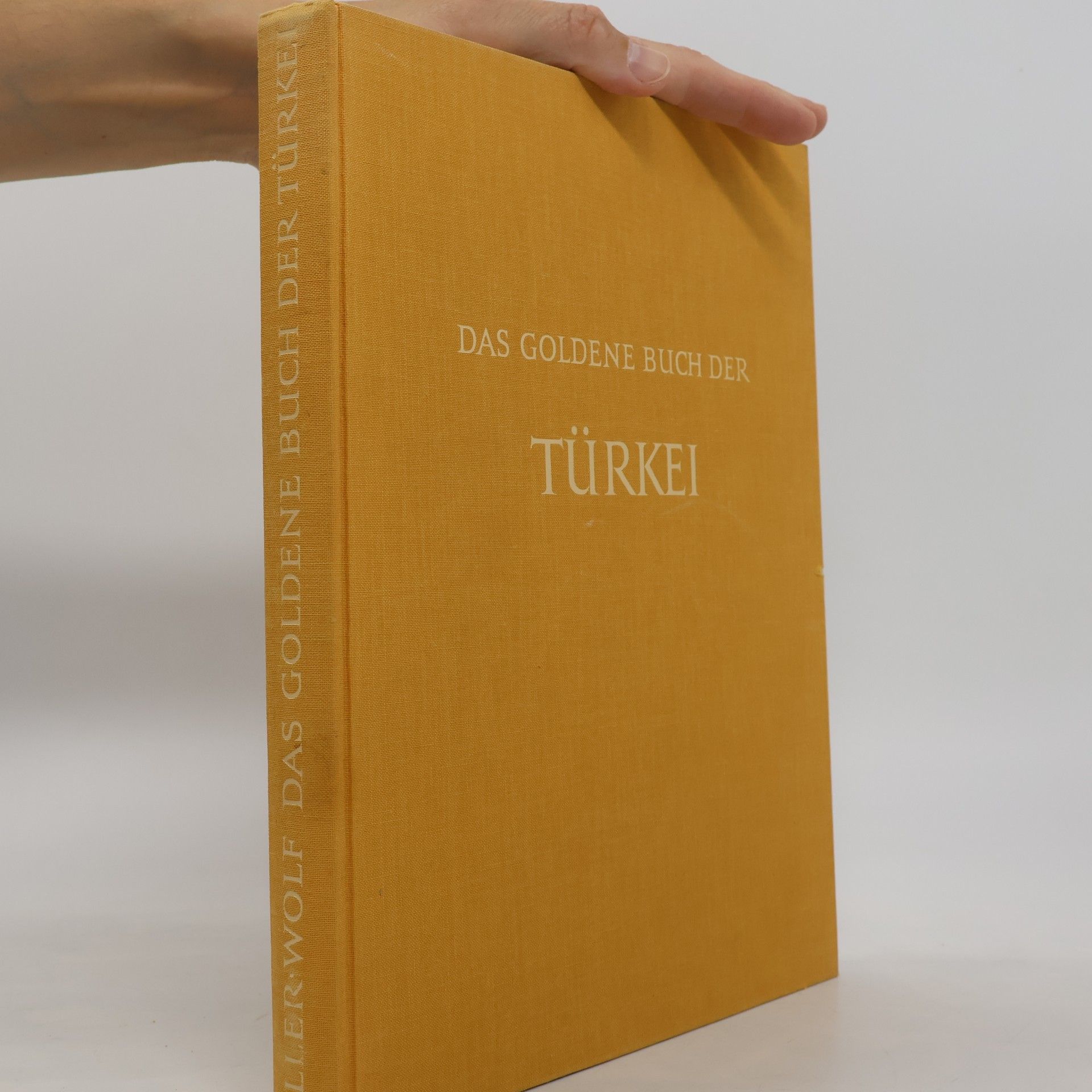 Dieter Wolf Das goldene Buch der Türkei