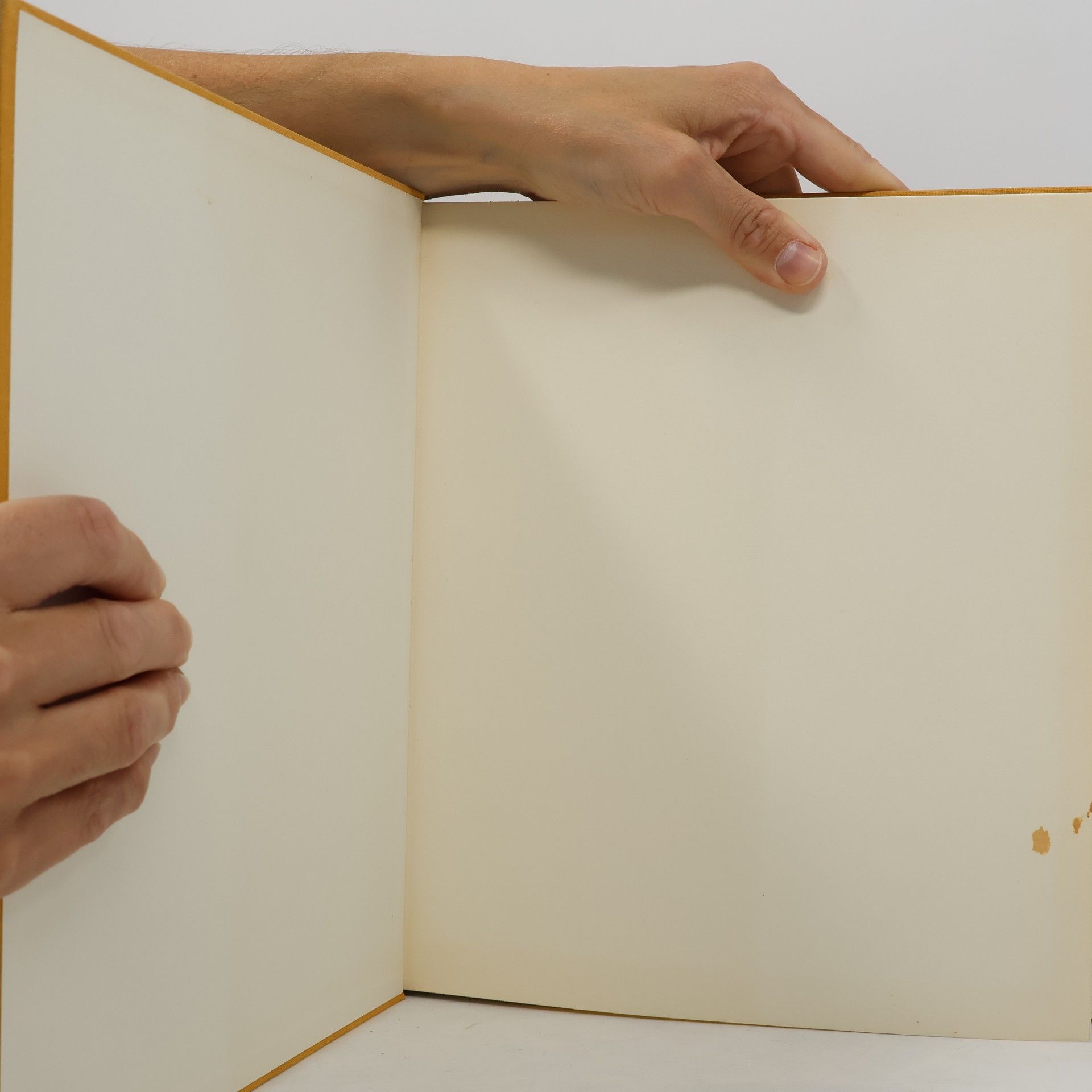 Karl Eller Das goldene Buch der Türkei