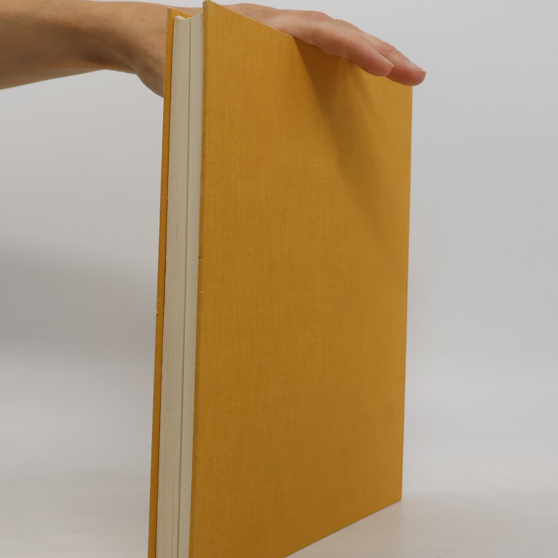 Karl Eller Das goldene Buch der Türkei