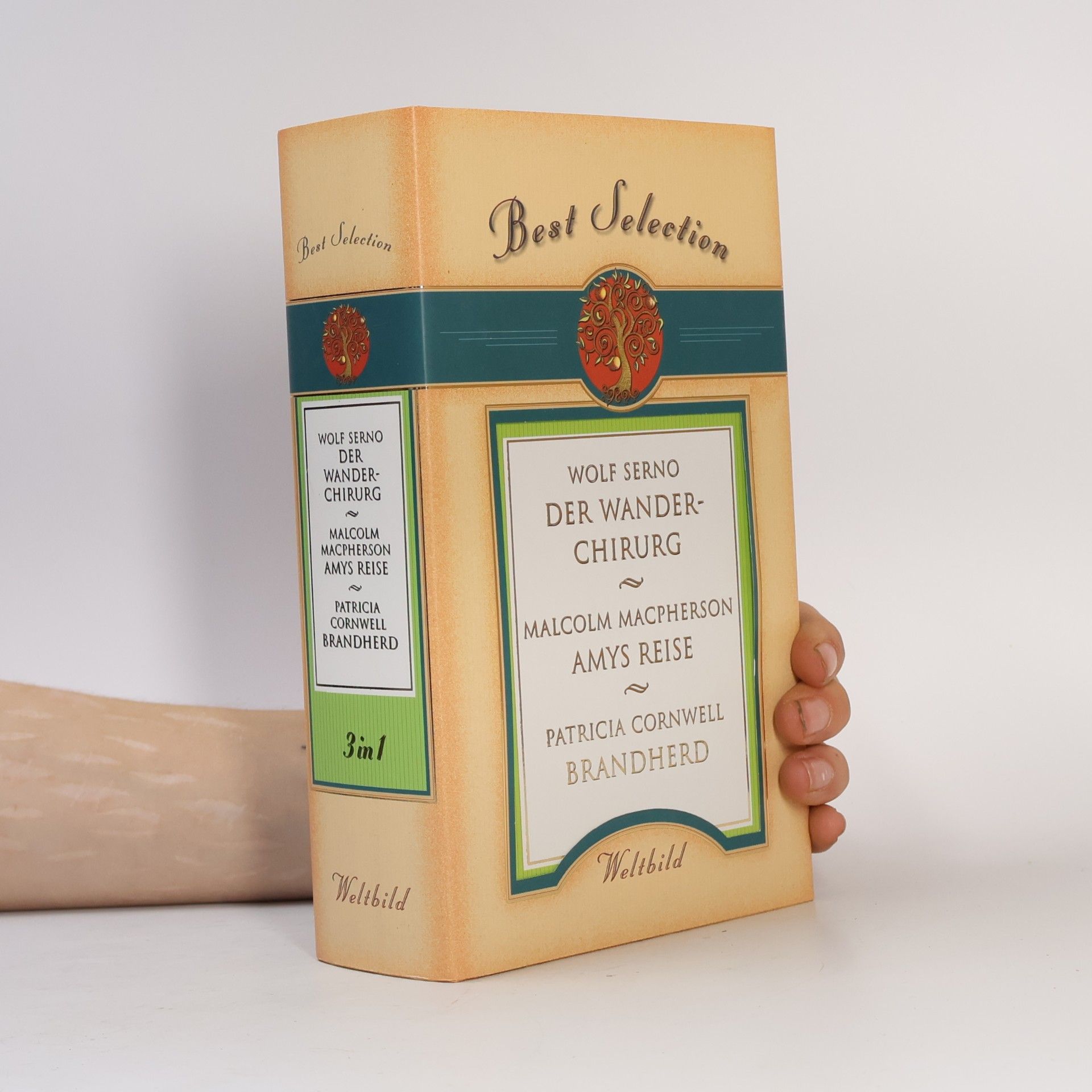Der Wanderchirurg. Amys Reise. Brandherd