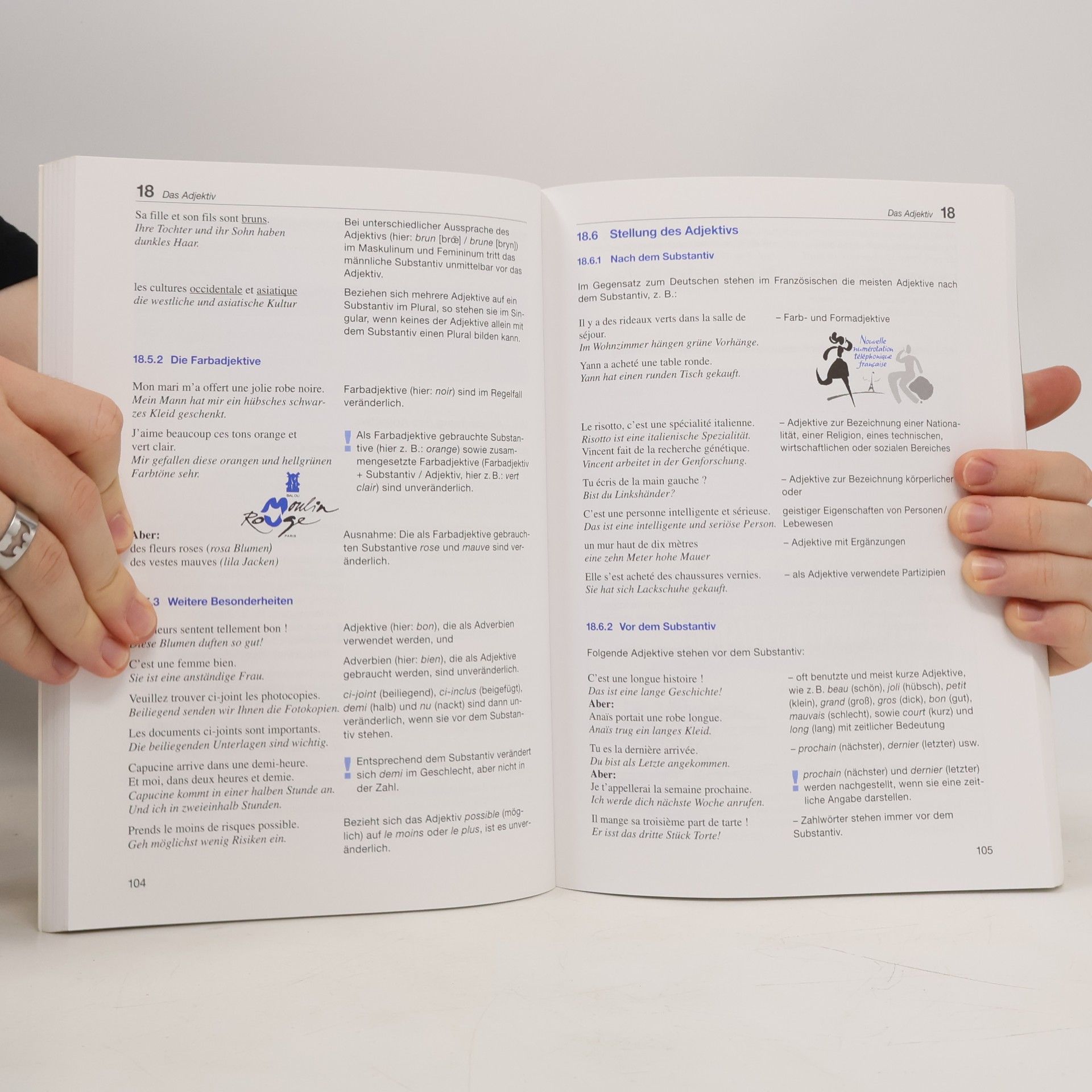 Sophie Vieillard Langenscheidts Standardgrammatik Französisch