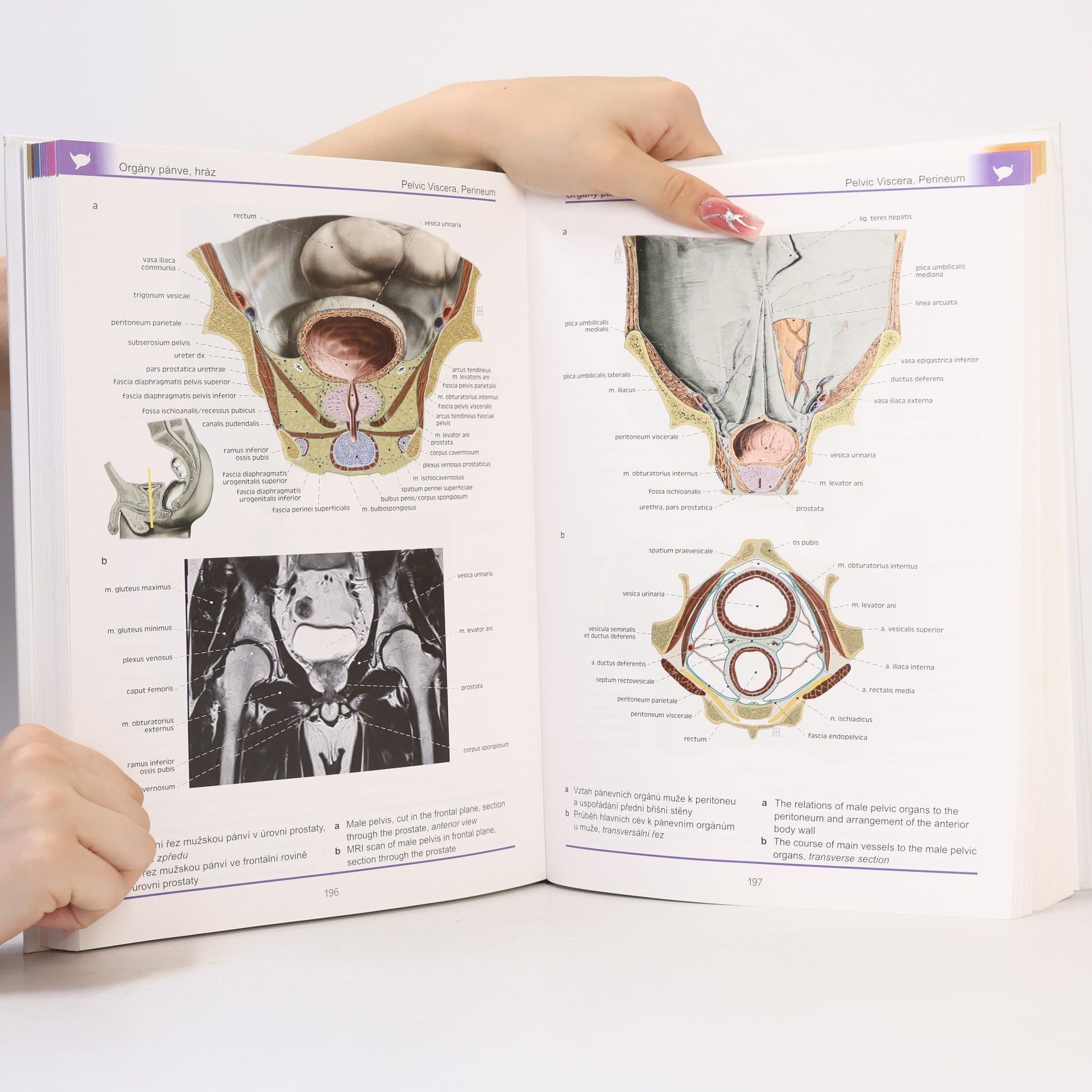 Ondřej Naňka Atlas anatomie člověka II. - Hlava a krk, vnitřní orgány, neuroanatomie