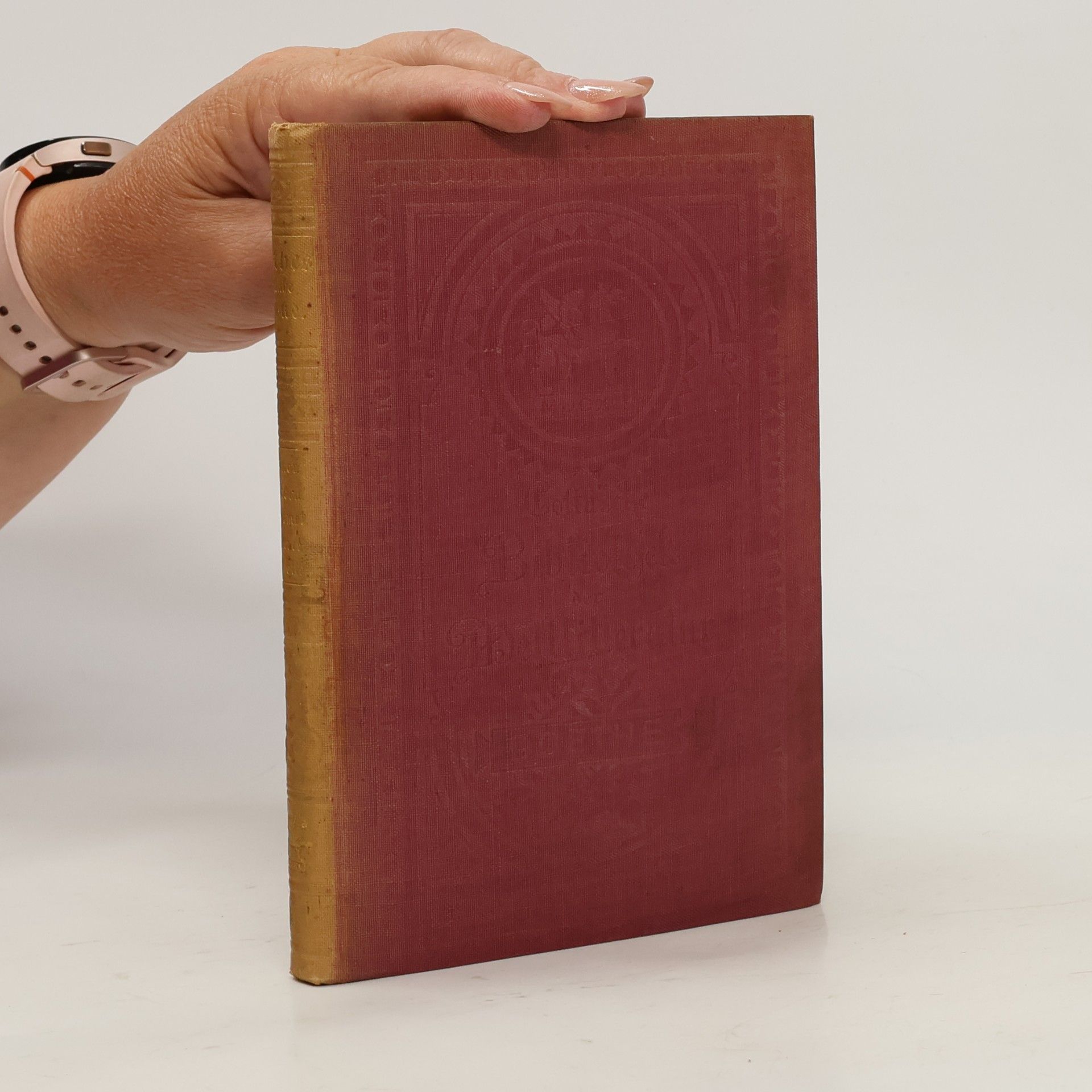 Johann Wolfgang von Goethe Goethes sämtliche Werke 12