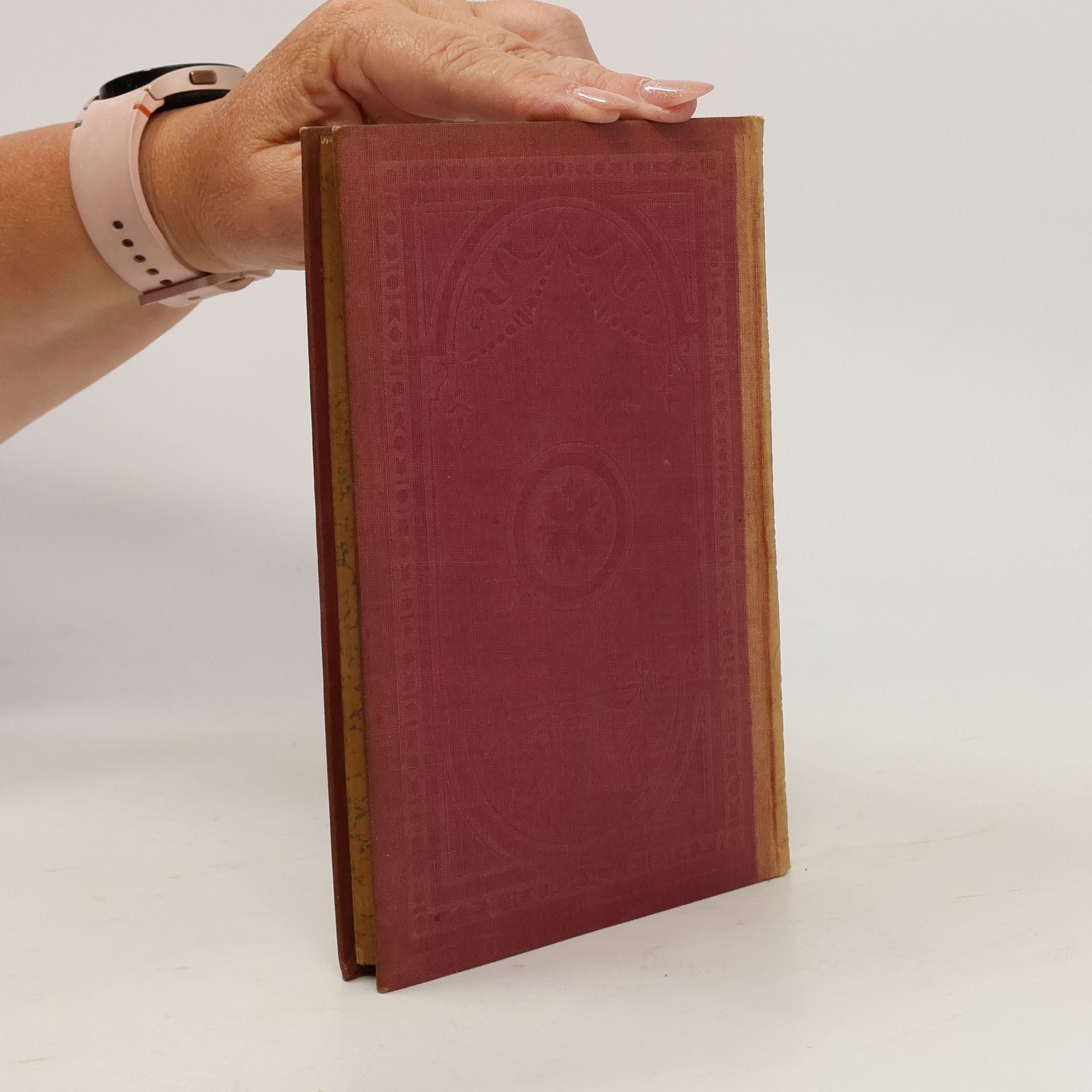 Johann Wolfgang von Goethe Goethes sämtliche Werke 12