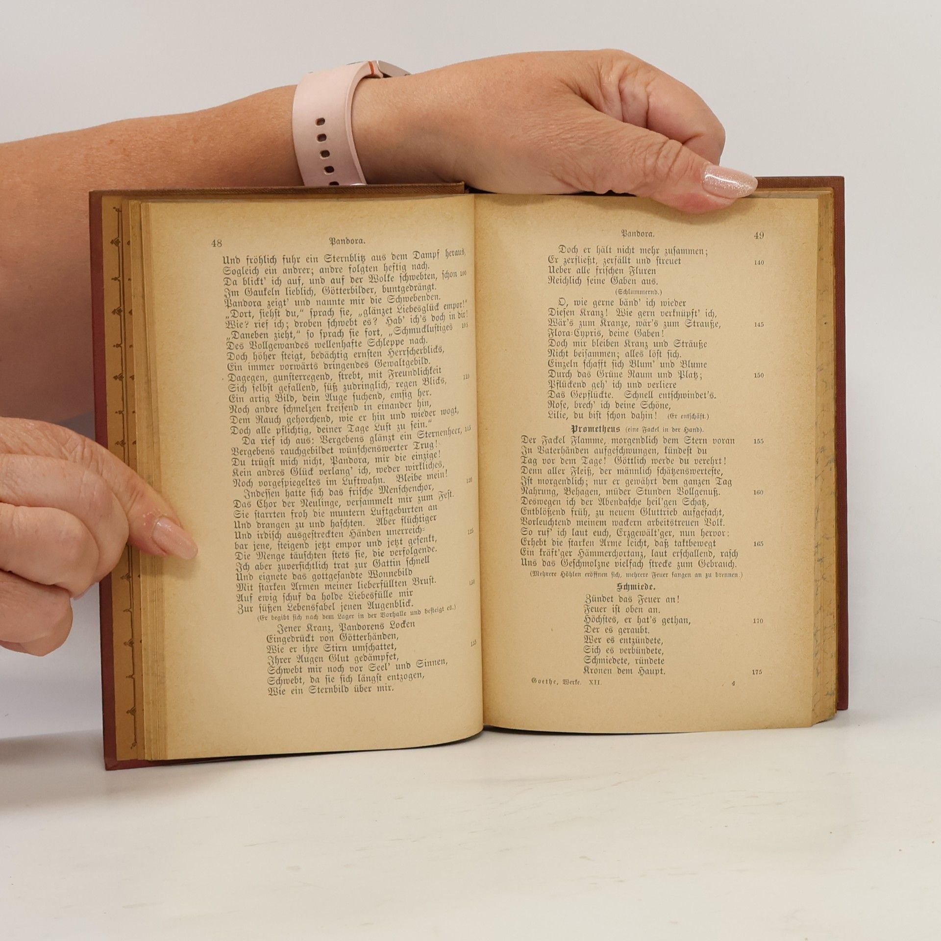 Johann Wolfgang von Goethe Goethes sämtliche Werke 12