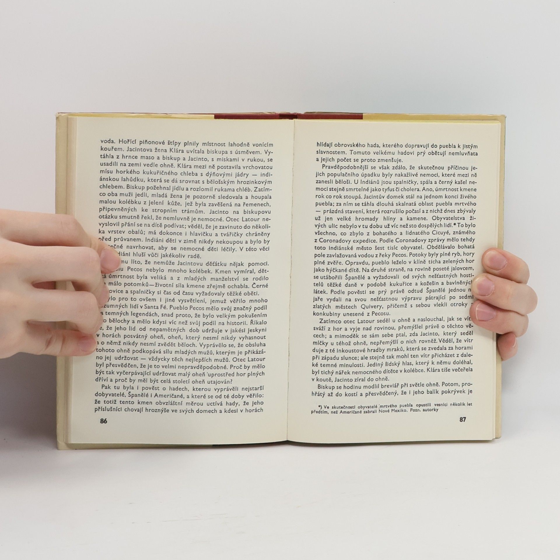 Willa Cather Smrt si jde pro arcibiskupa