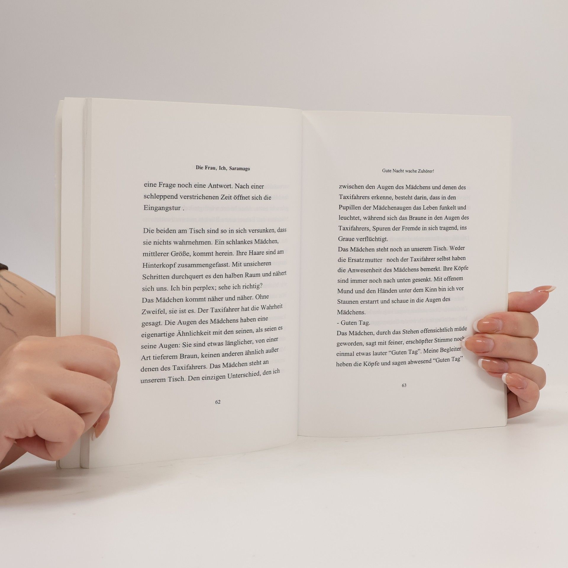 Arsalan Arabloui Die Frau ich Saramago