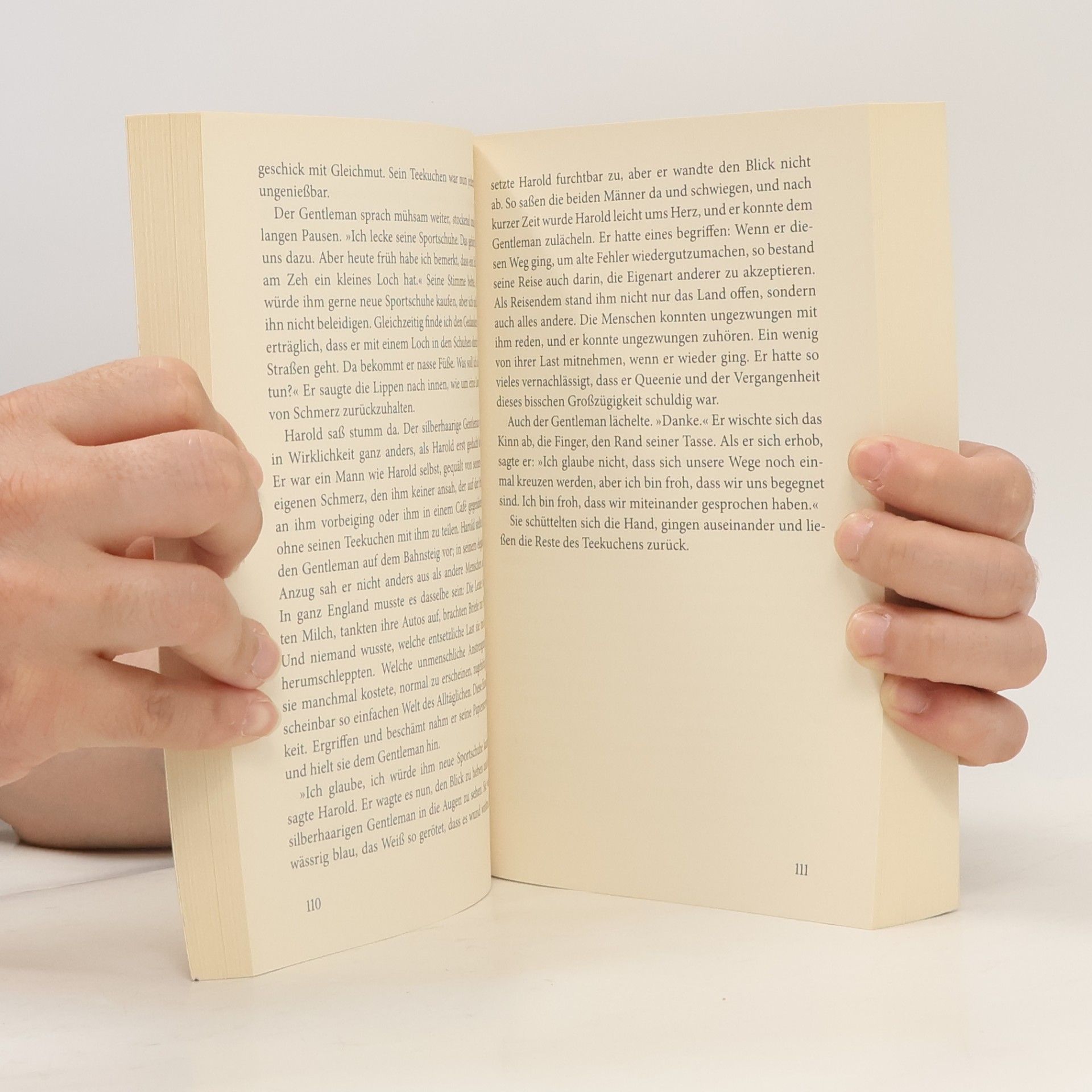 Rachel Joyce Die unwahrscheinliche Pilgerreise des Harold Fry