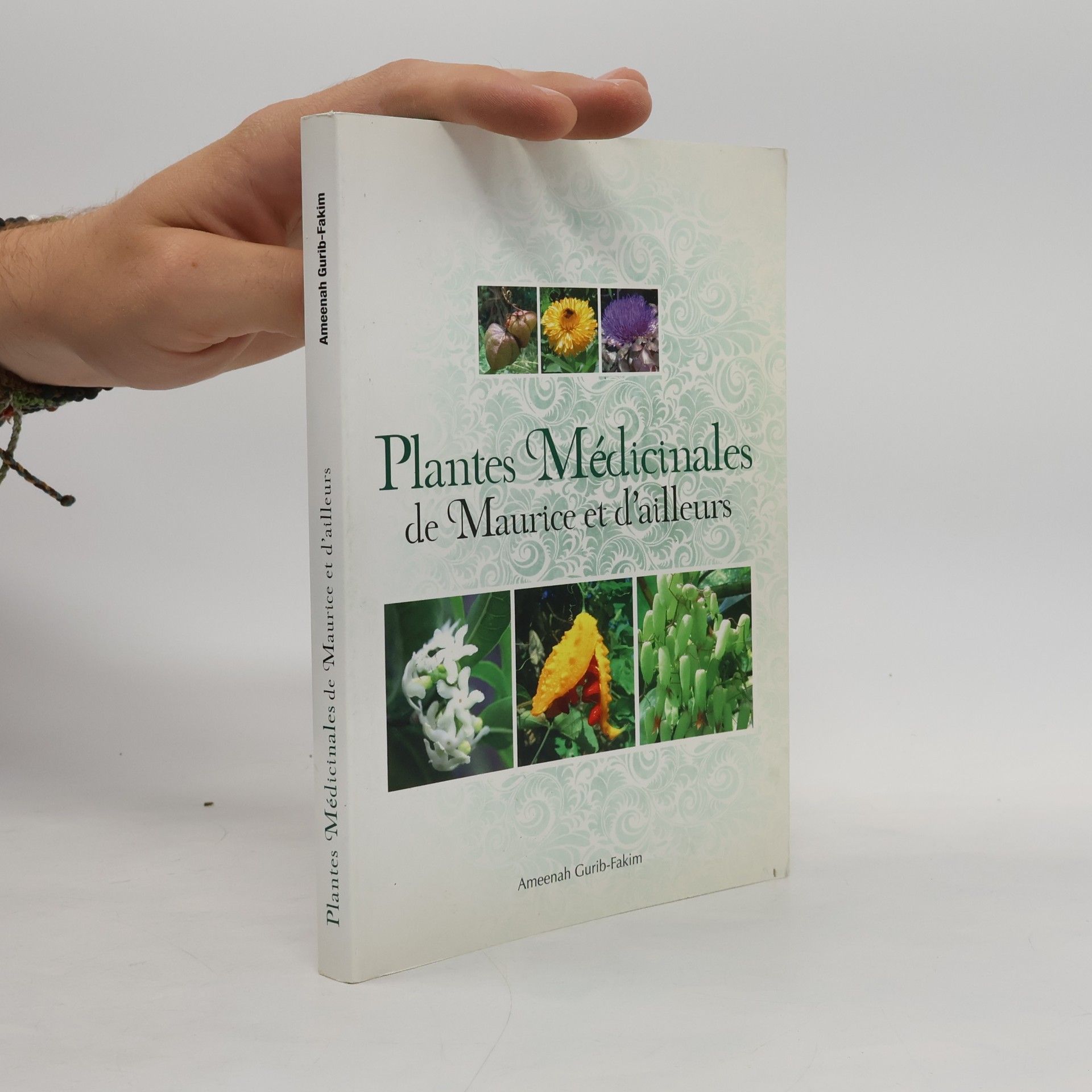 Plantes médicinales de Maurice et d'ailleurs