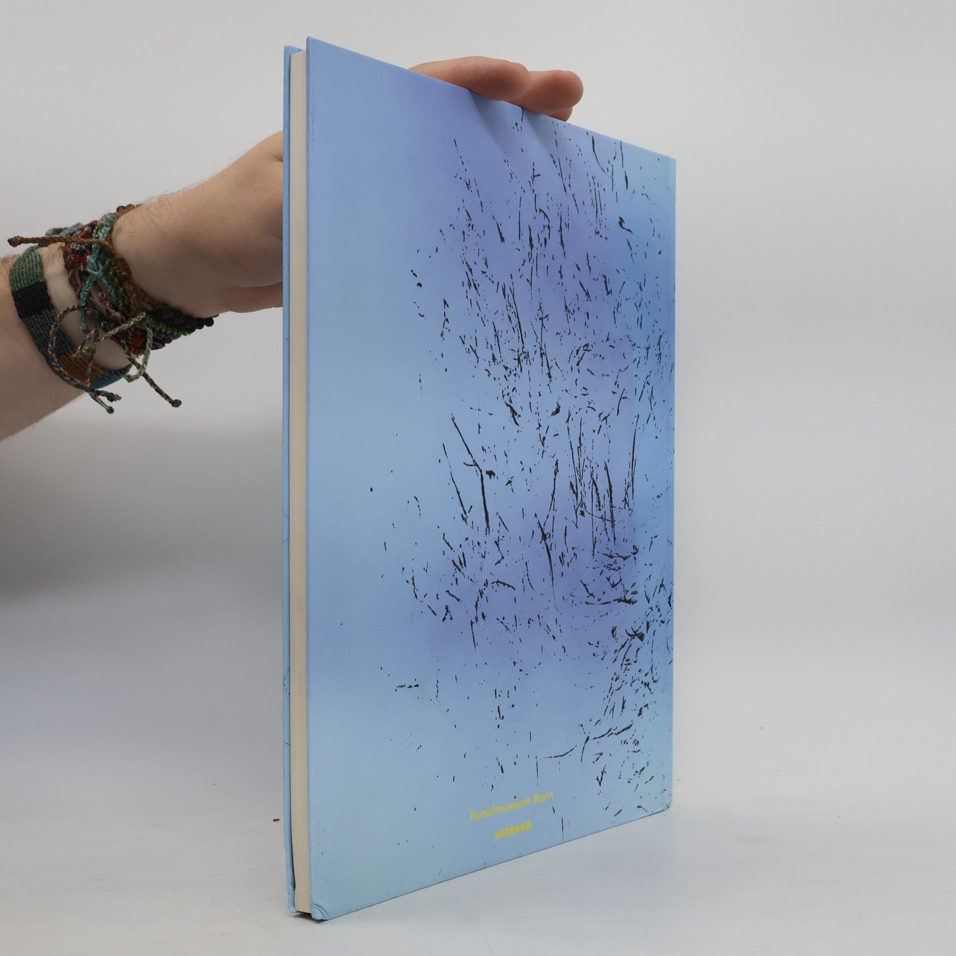 Christoph Schreier Hans Hartung - Malerei als Experiment