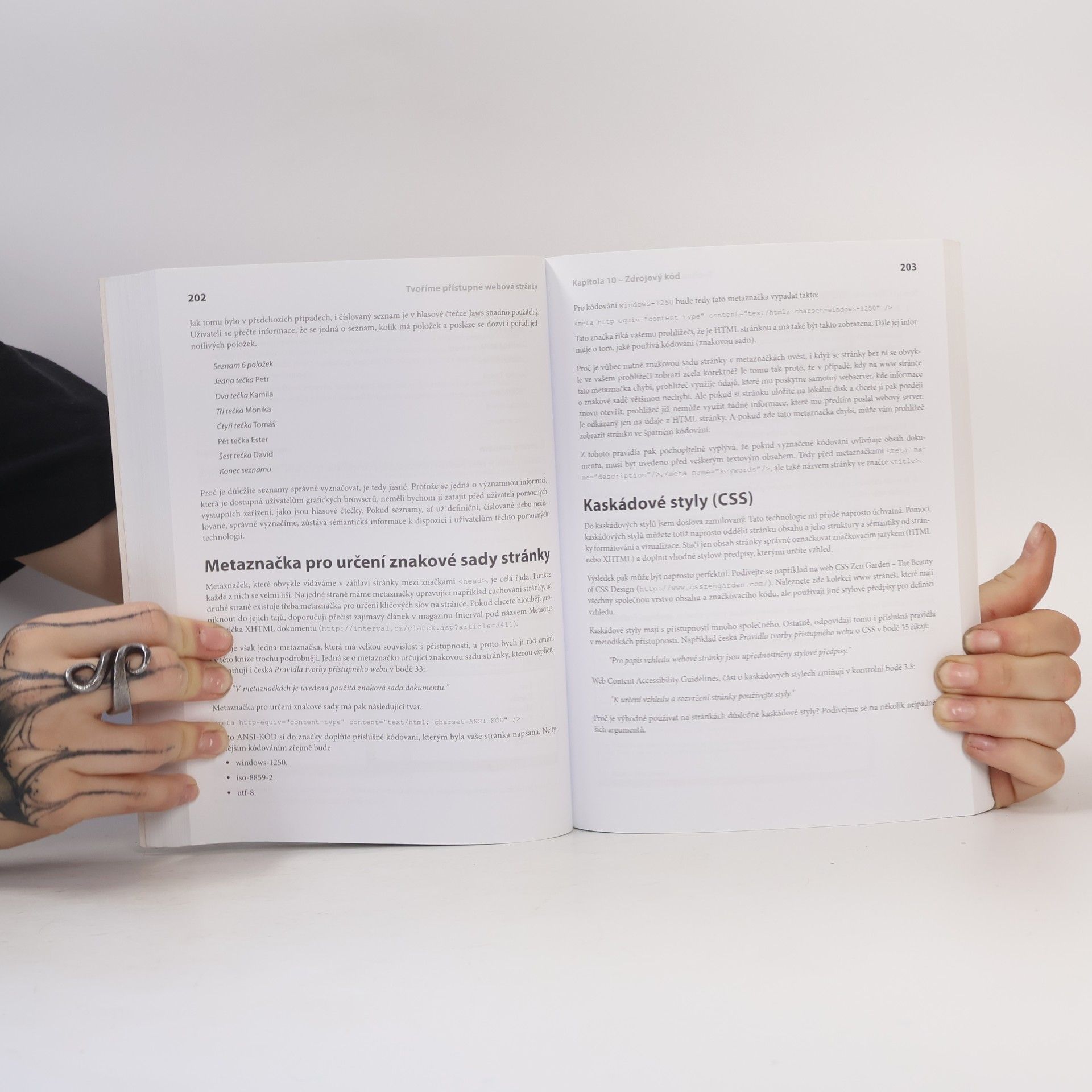 David Špinar Tvoříme přístupné webové stránky. připraveno s ohledem na novelu Zákona č. 365