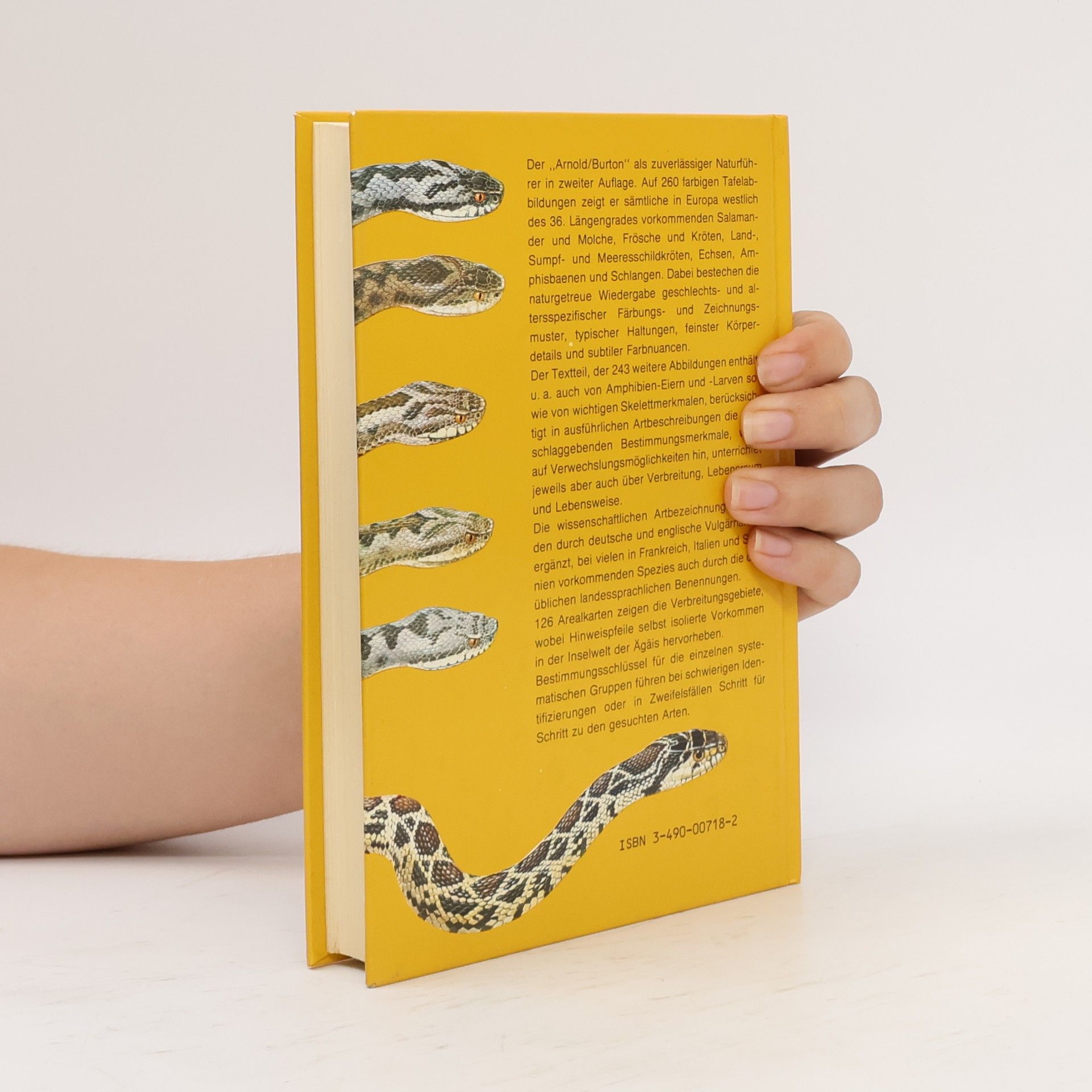 Nicholas Arnold Pareys Reptilien - und Amphibienführer Europas