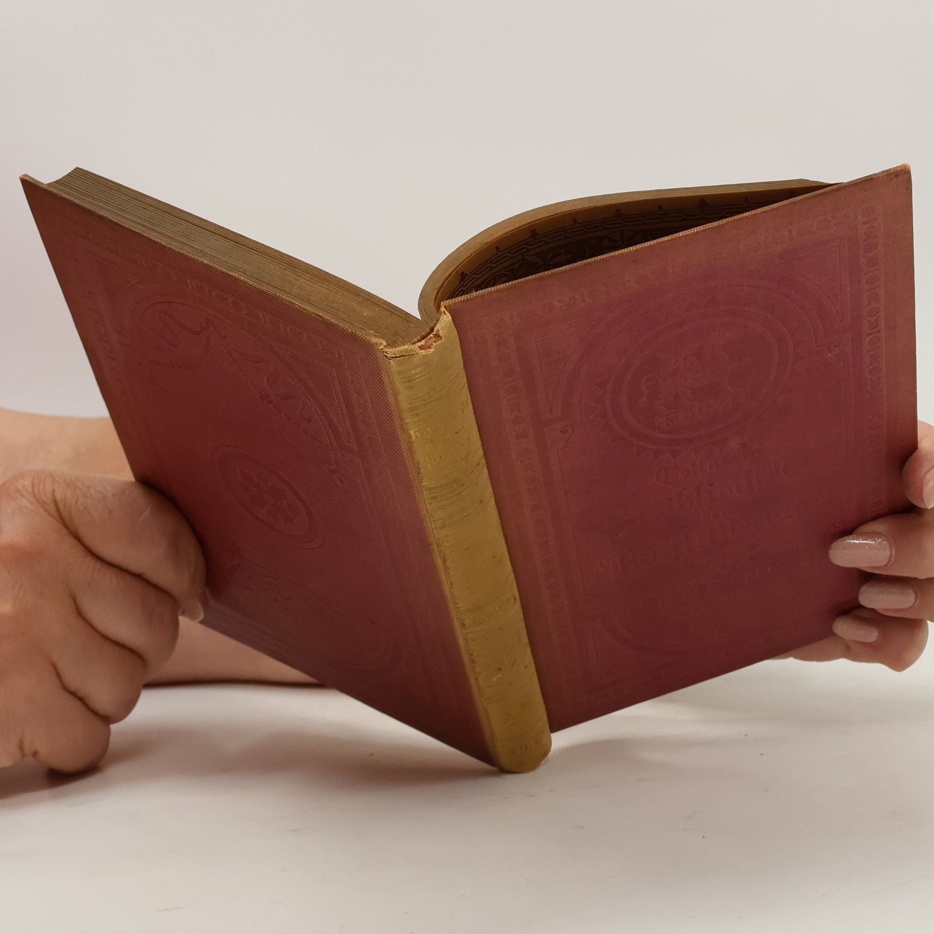 Johann Wolfgang von Goethe Goethes Sämtliche Werke. Band 27