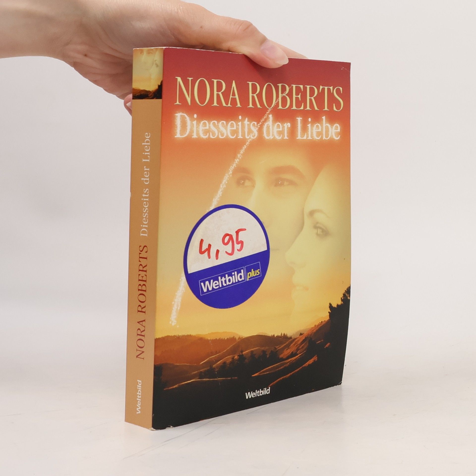Nora Roberts Diesseits der Liebe