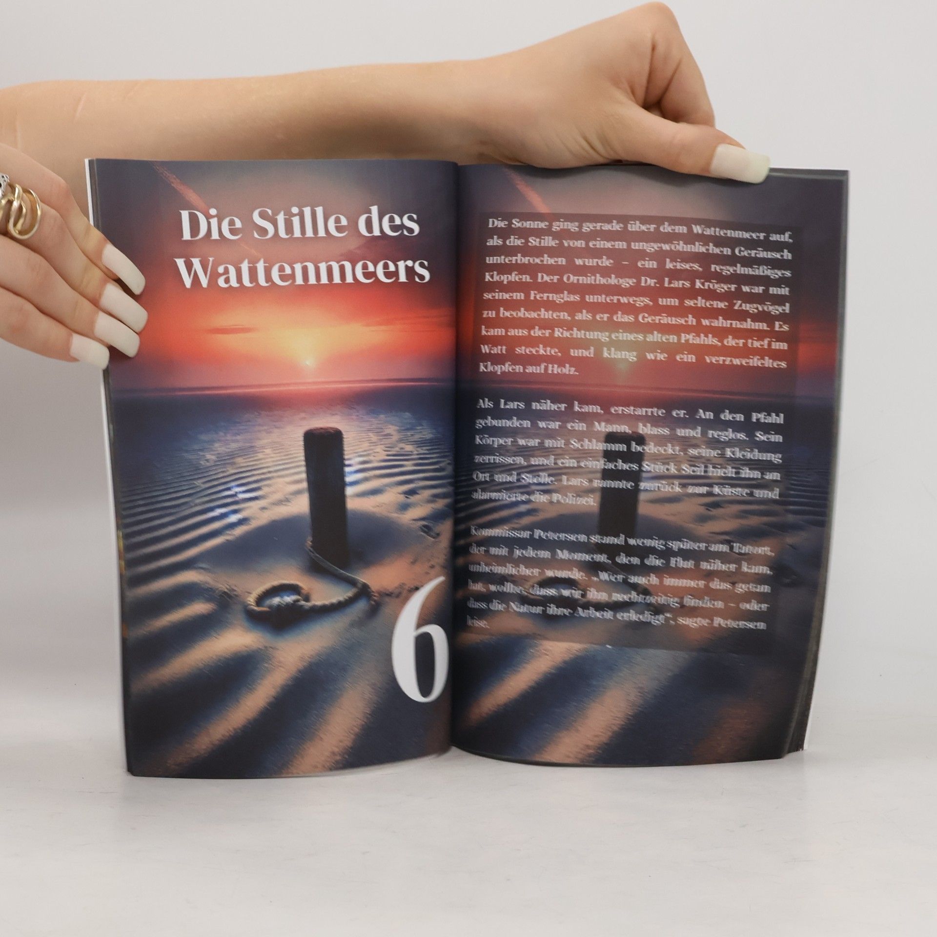 Lena Falkenhagen Sylt Krimi Adventskalender