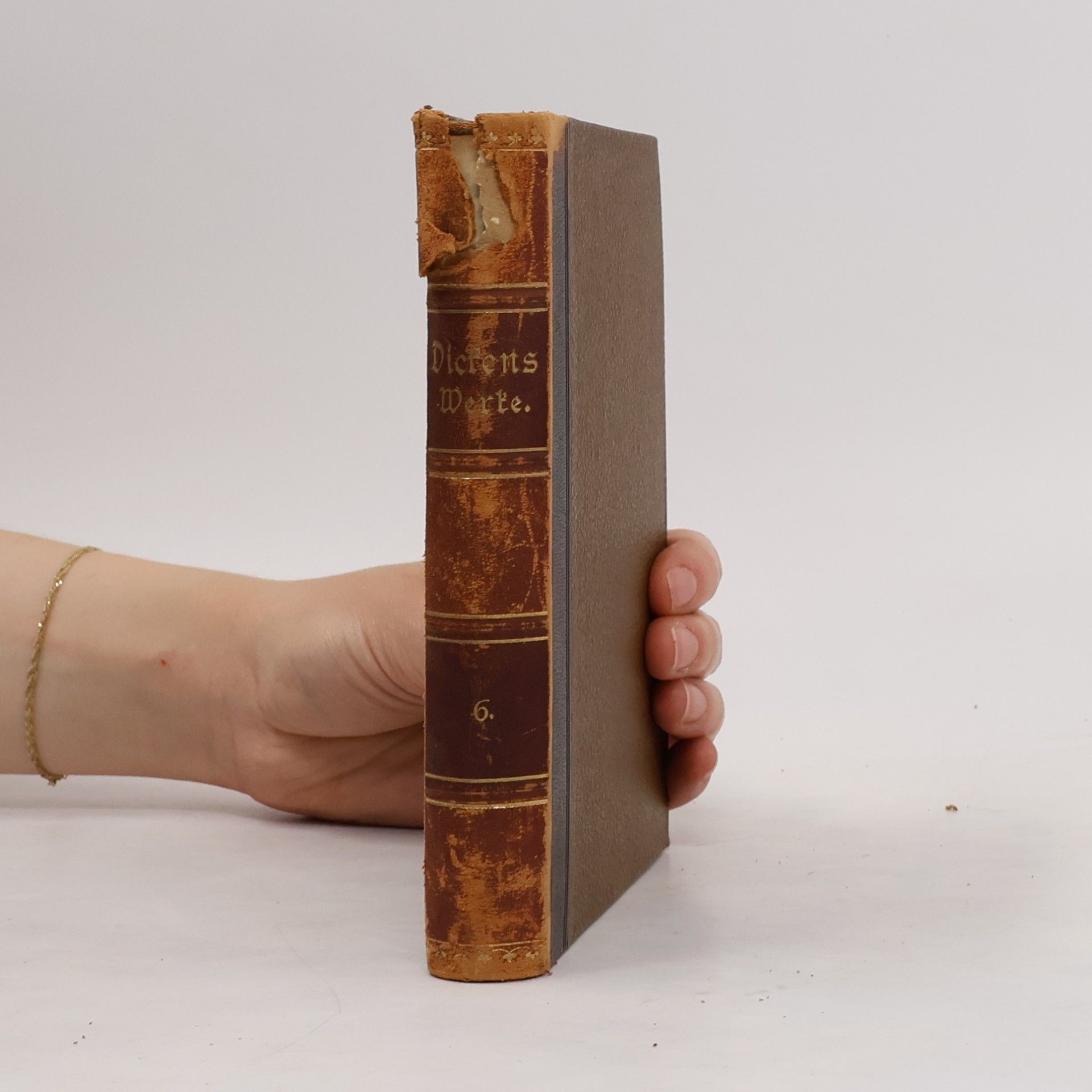 Charles Dickens Charles Dickens ausgewählte Werke 6. Oliver Twist