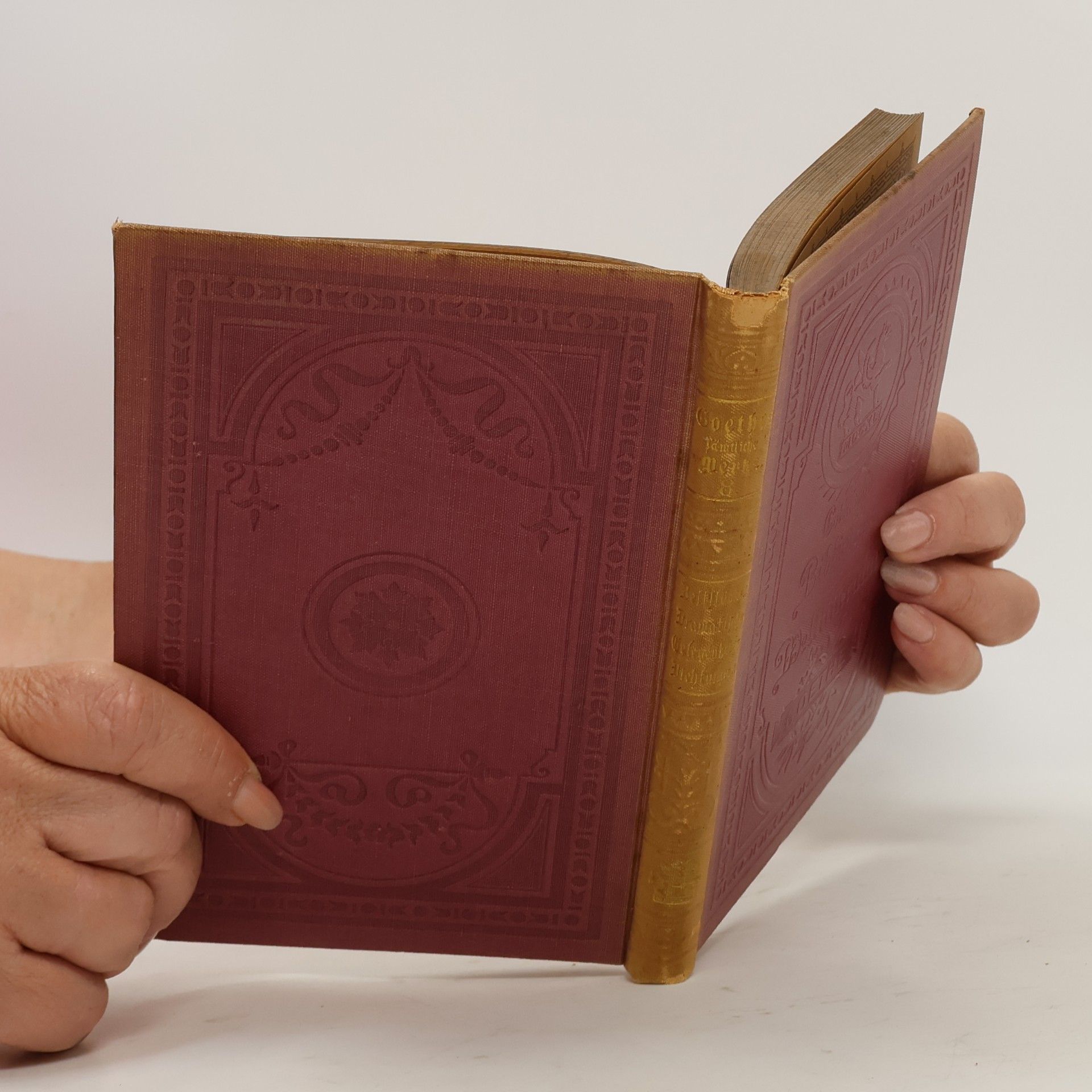 Johann Wolfgang von Goethe Goethes Sämtliche Werke 8
