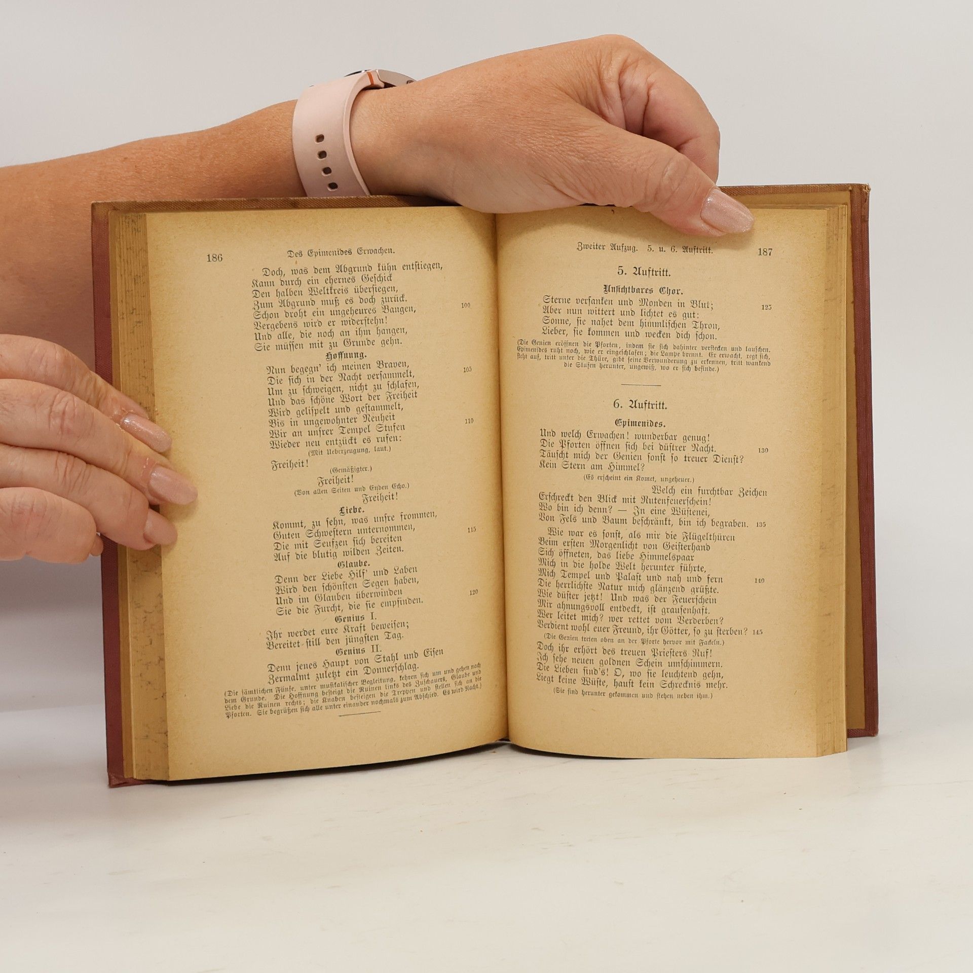Johann Wolfgang von Goethe Goethes Sämtliche Werke 8