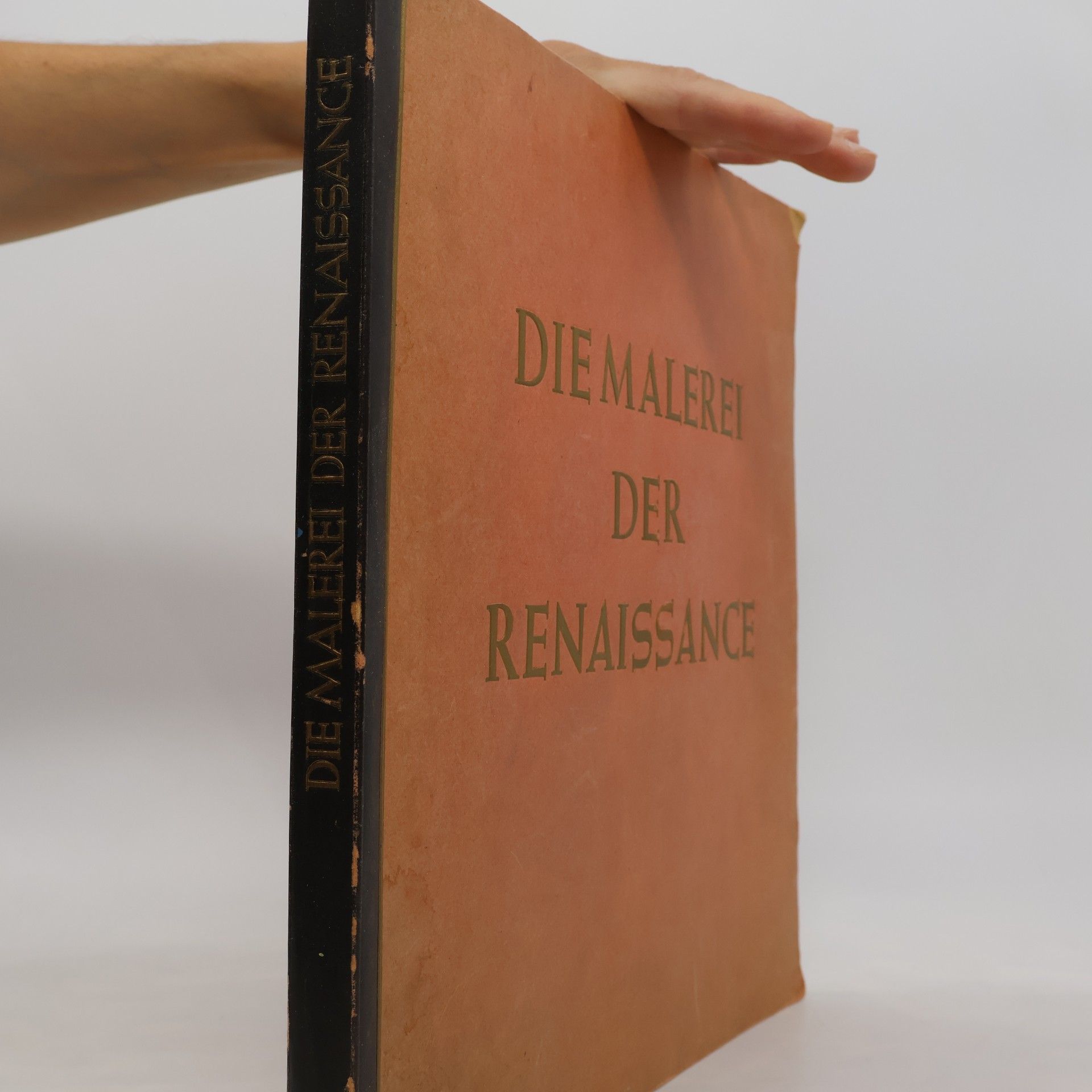Hermann Wiemann Die Malerei der Renaissance