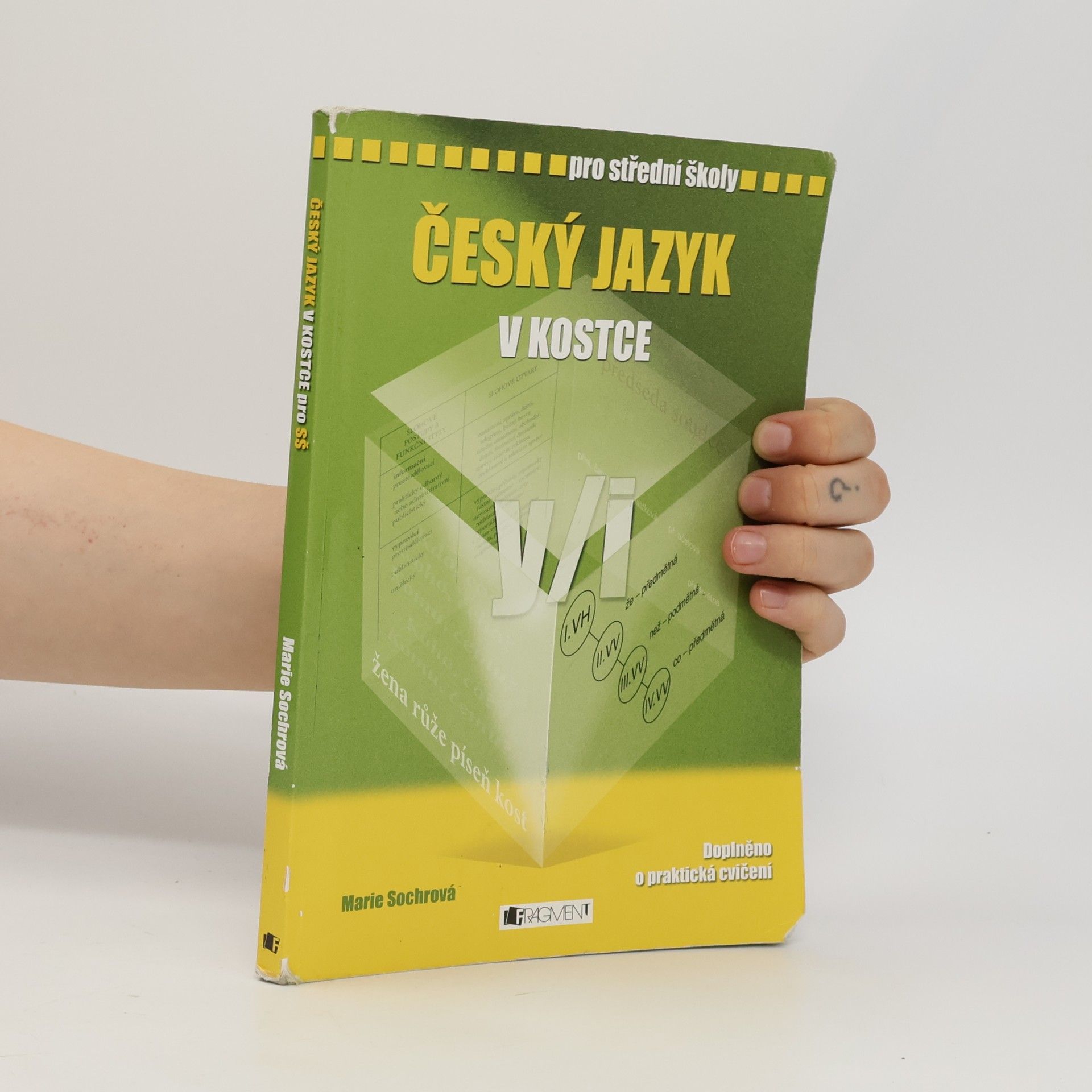 Český jazyk v kostce : pro střední školy