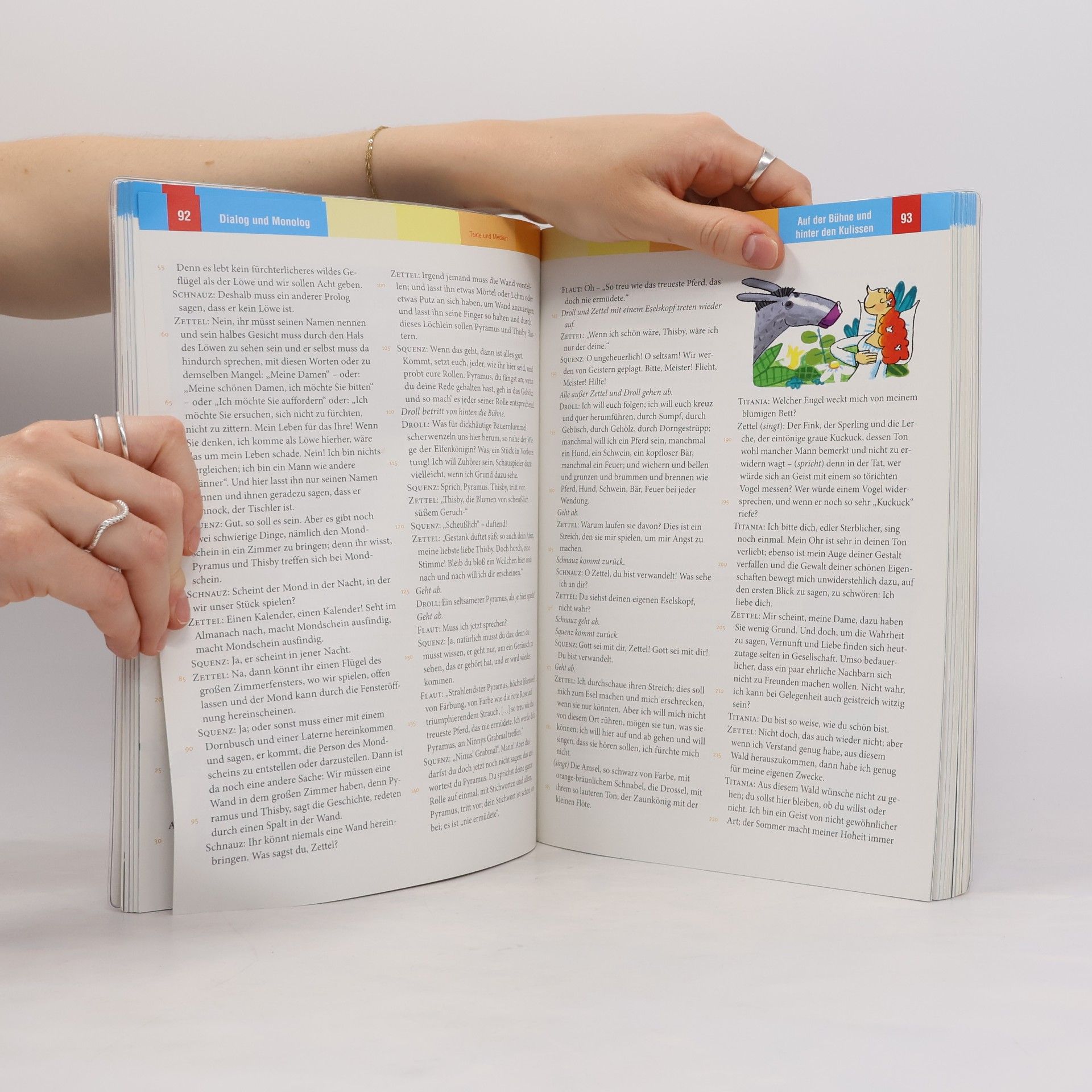 Duo Deutsch - Ausgabe B. Sprach- und Lesebuch für Gymnasien. Ausgabe für Niedersachsen: Sprach- und Lesebuch B 6, 6. Schuljahr